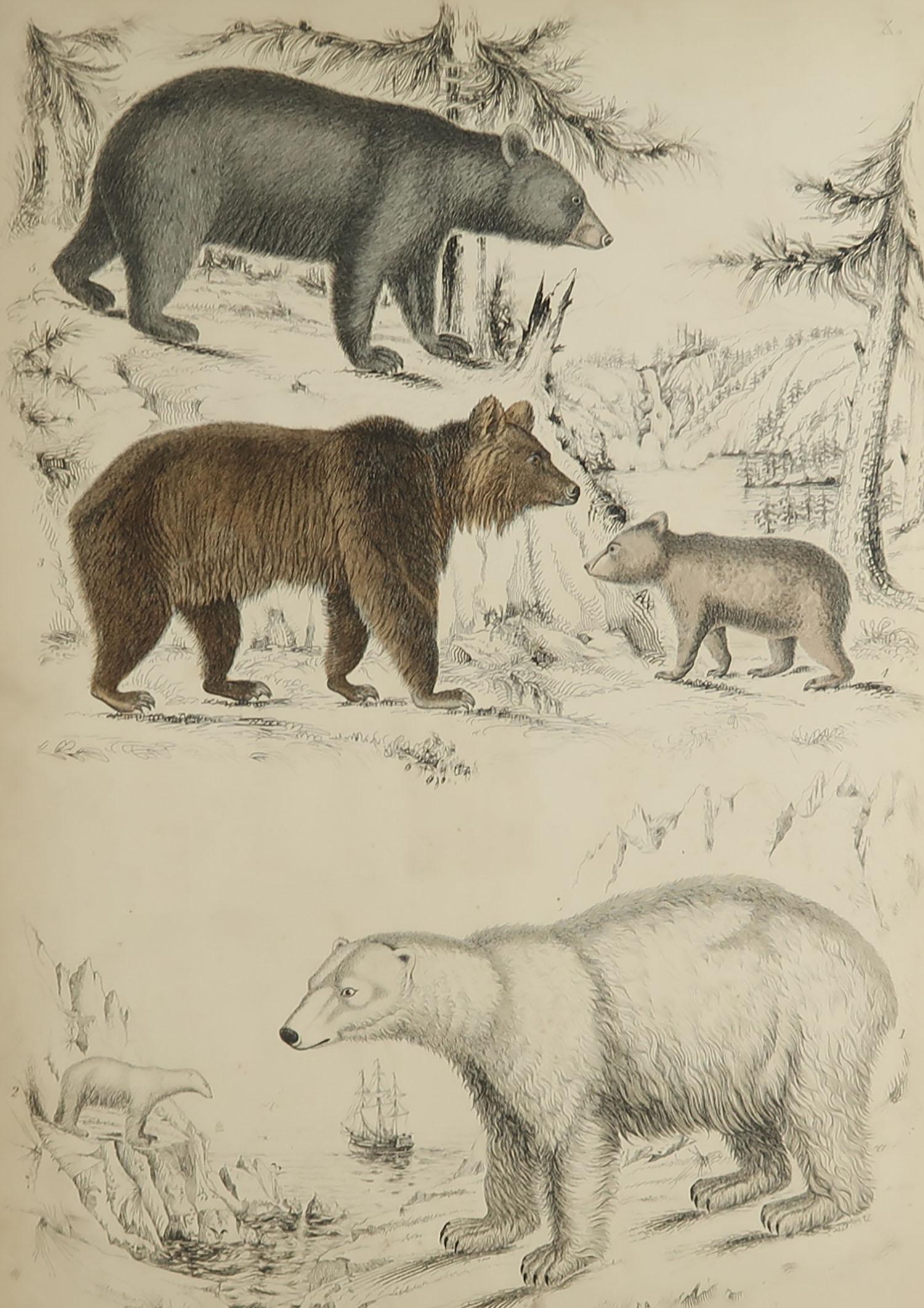 Great image of bears

Unframed. It gives you the option of perhaps making a set up using your own choice of frames.

Lithograph after Cpt. Brown with original hand color.

Published circa 1835

Free shipping.




 