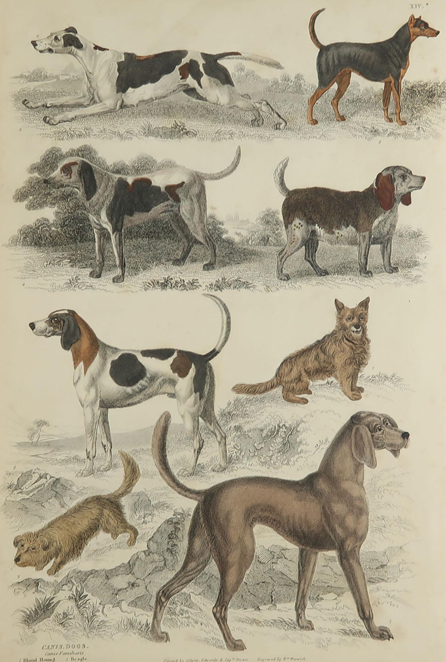 Great image of sporting dogs

Unframed. It gives you the option of perhaps making a set up using your own choice of frames.

Lithograph after Cpt. Brown, Gilpin and Edwards with original hand color.

Published circa 1835

Free