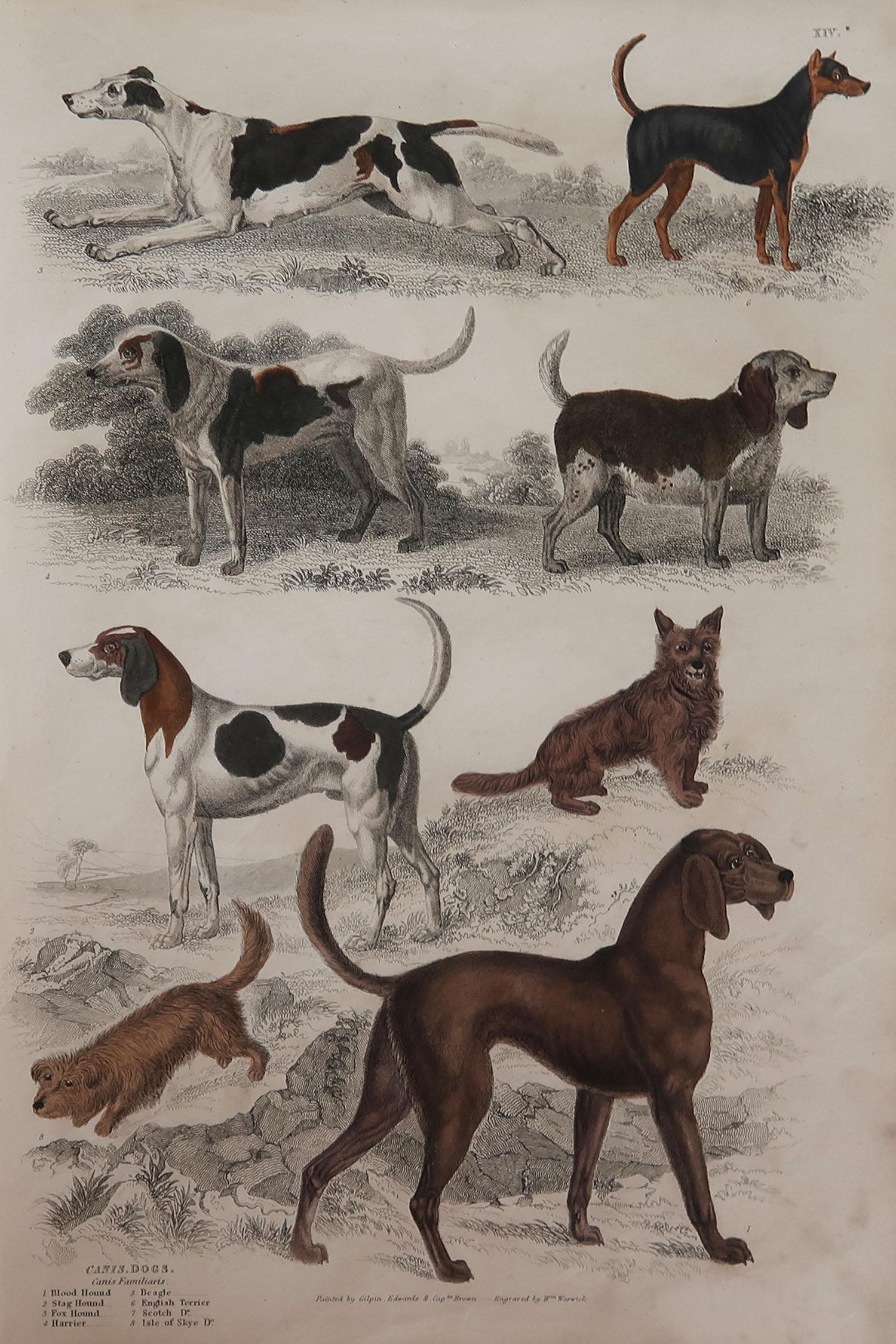 Great image of sporting dogs

Unframed. It gives you the option of perhaps making a set up using your own choice of frames.

Lithograph after Cpt. Brown, Gilpin and Edwards with original hand color.

Published circa 1835

Free