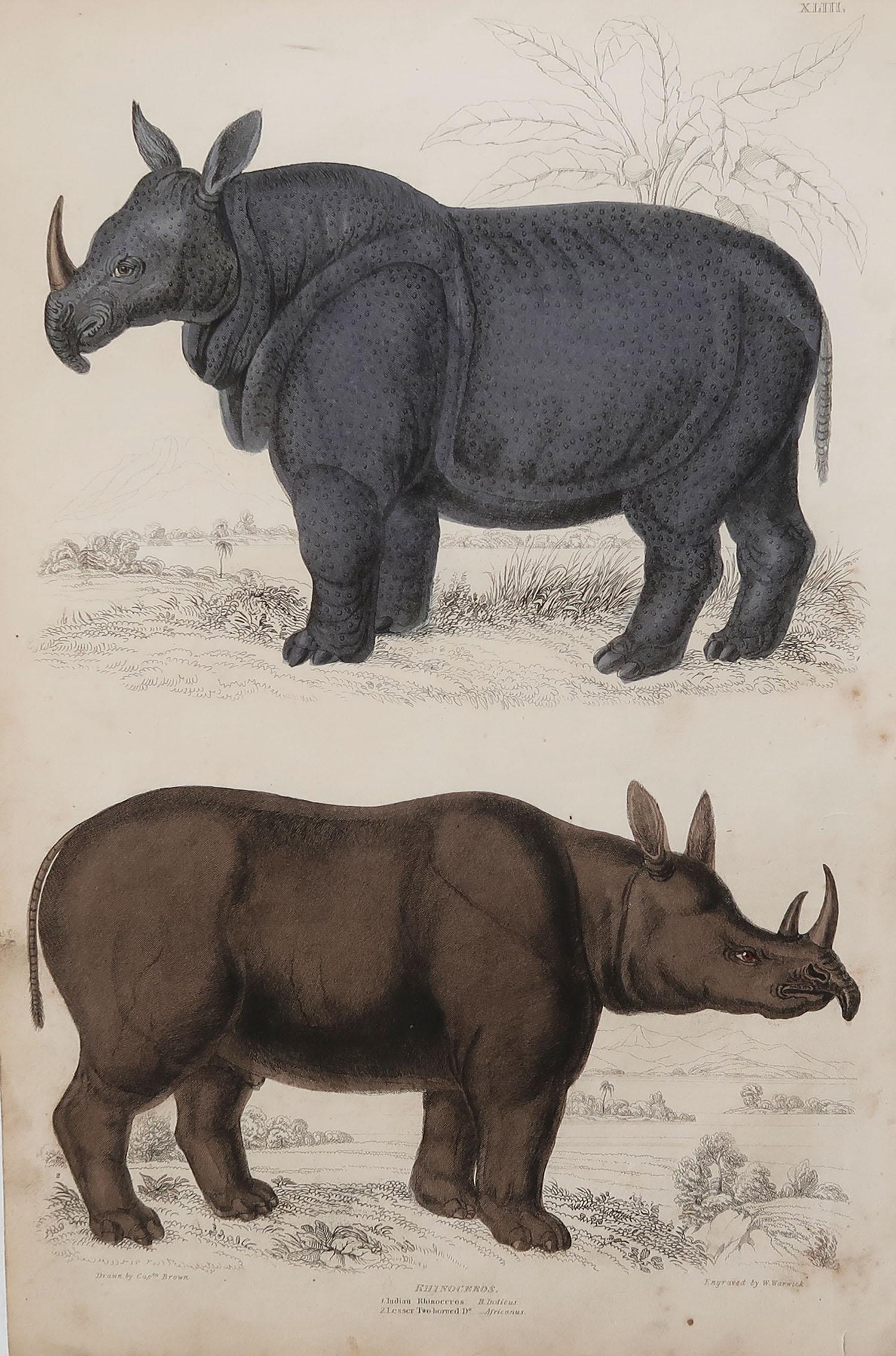 Great image of an Indian and a lesser two horn rhino

Unframed. It gives you the option of perhaps making a set up using your own choice of frames.

Lithograph after Cpt. brown with original hand color.

Published, circa 1835

Free