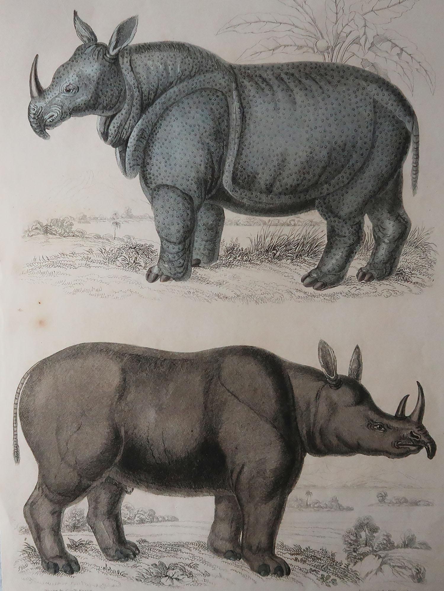 Great image of an Indian and a lesser two horn rhino

Unframed. It gives you the option of perhaps making a set up using your own choice of frames.

Lithograph after Cpt. brown with original hand color.

Published, circa 1835

Free