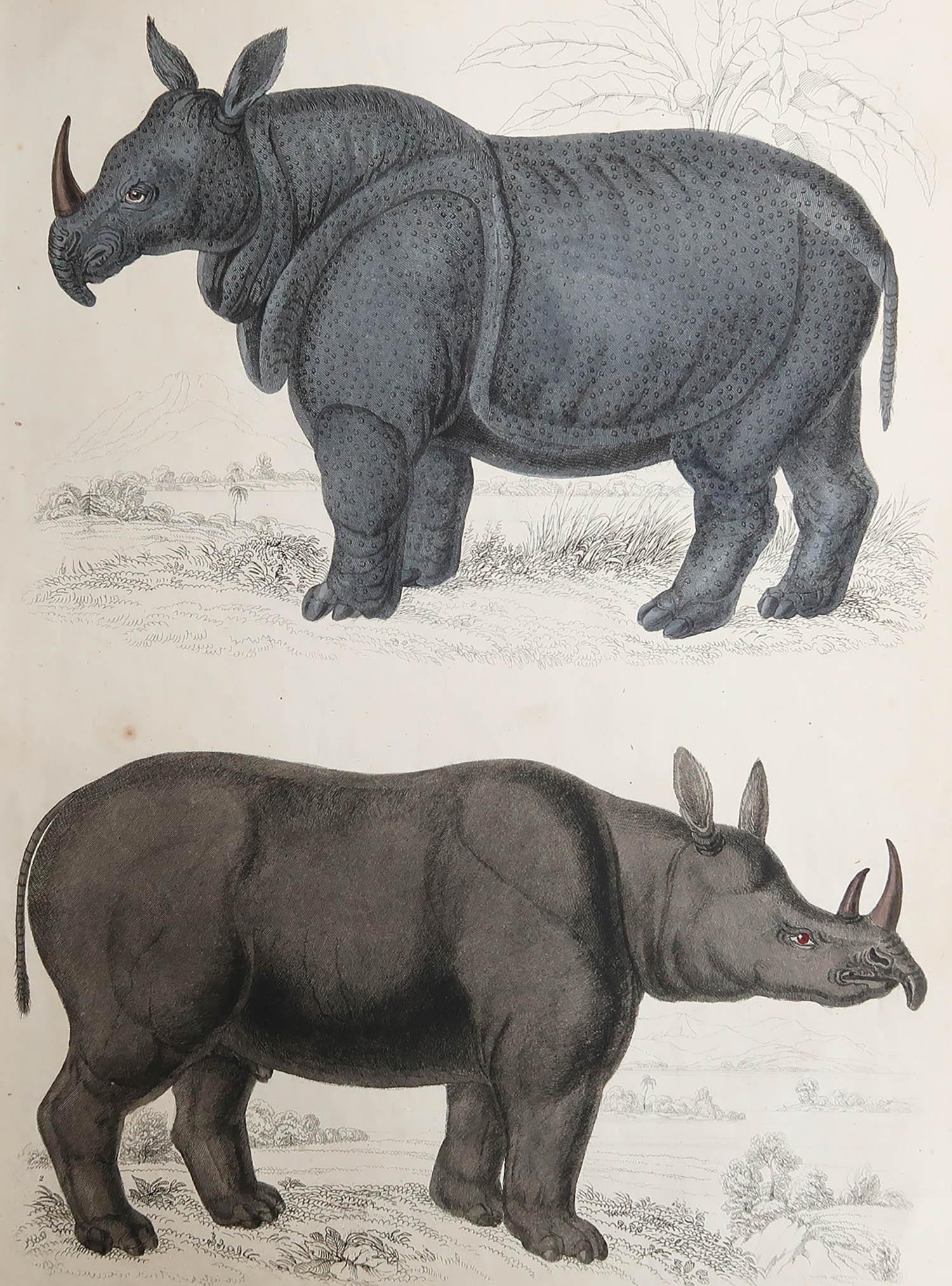 Great image of an Indian and a lesser two horn rhino

Unframed. It gives you the option of perhaps making a set up using your own choice of frames.

Lithograph after Cpt. brown with original hand color.

Published, circa 1835

Free shipping.




