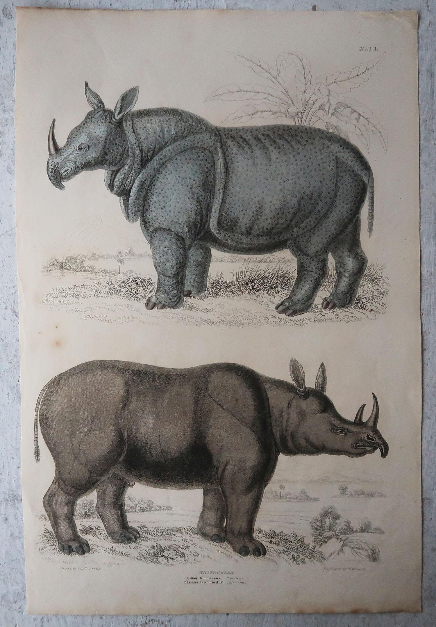 antique rhinoceros horn