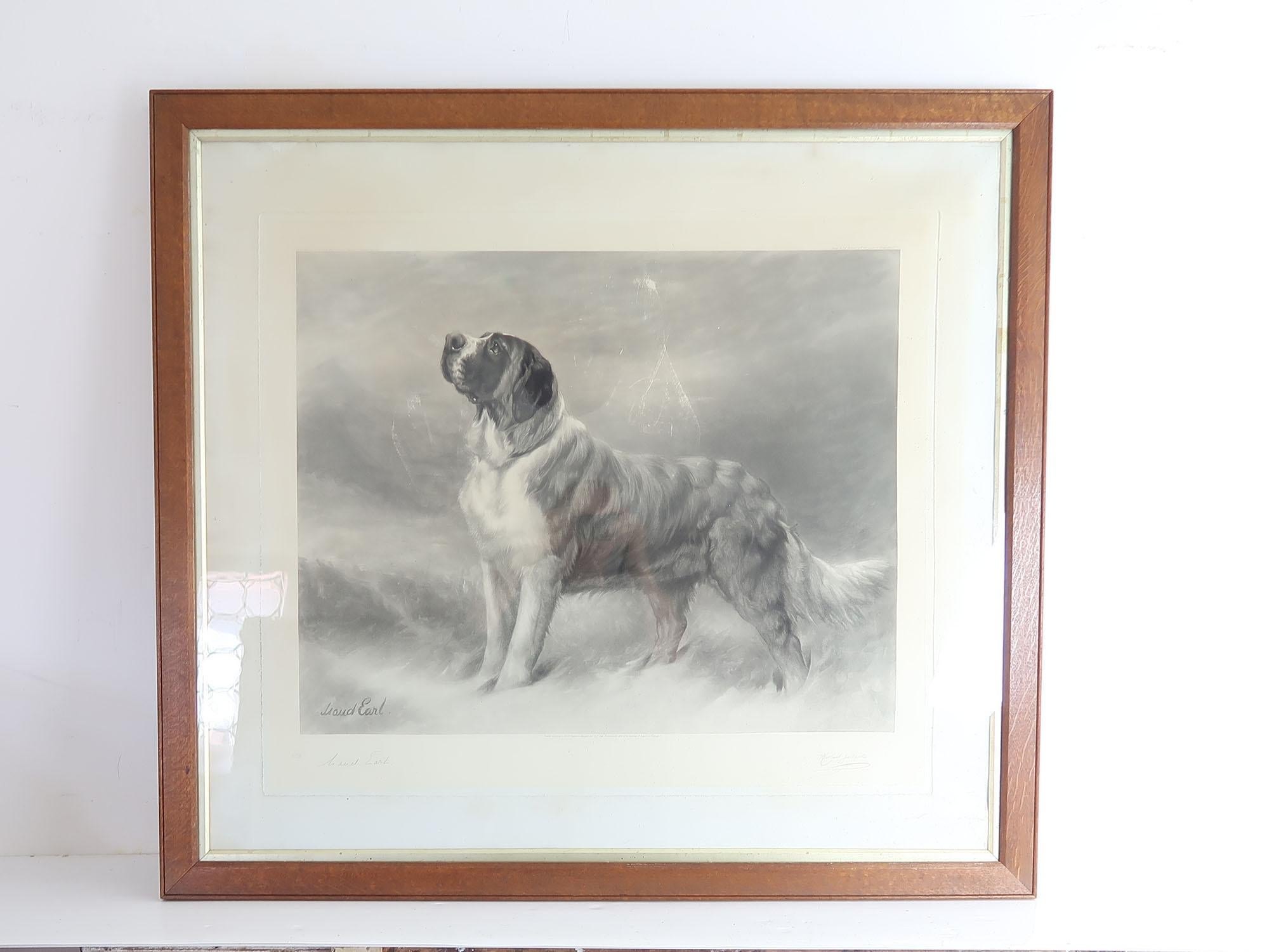 Großer Original-Antiquitätendruck eines St. Bernard-Hundes, signiert Maud Earl, 1898 im Zustand „Gut“ im Angebot in St Annes, Lancashire