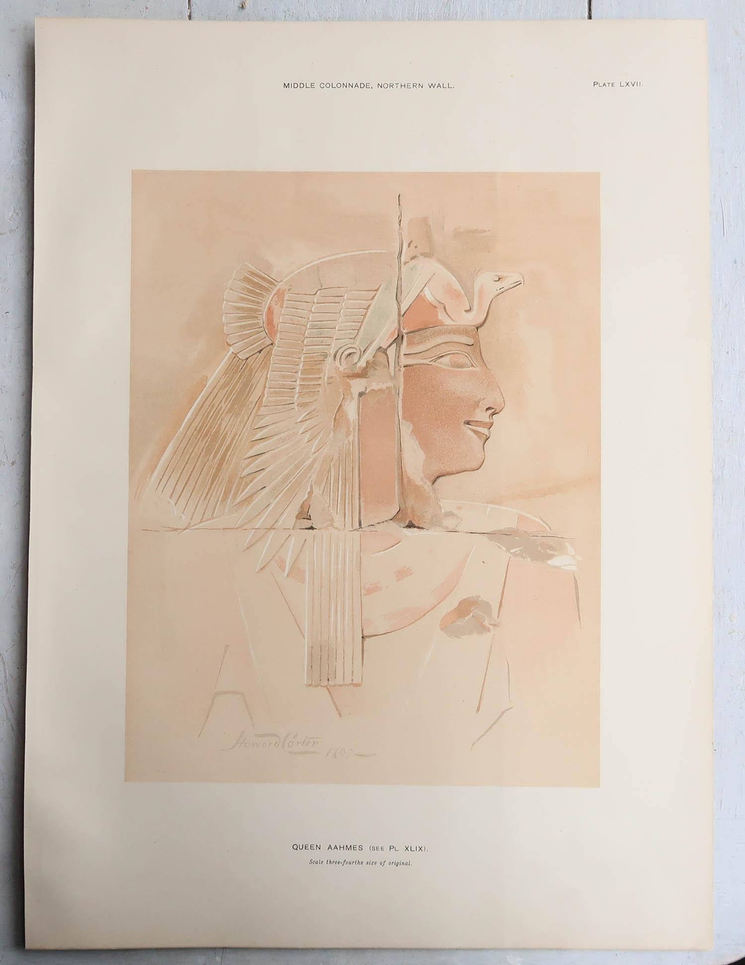 English Large Original Antique Print of an Ancient Egyptian Wall Decoration, 1896