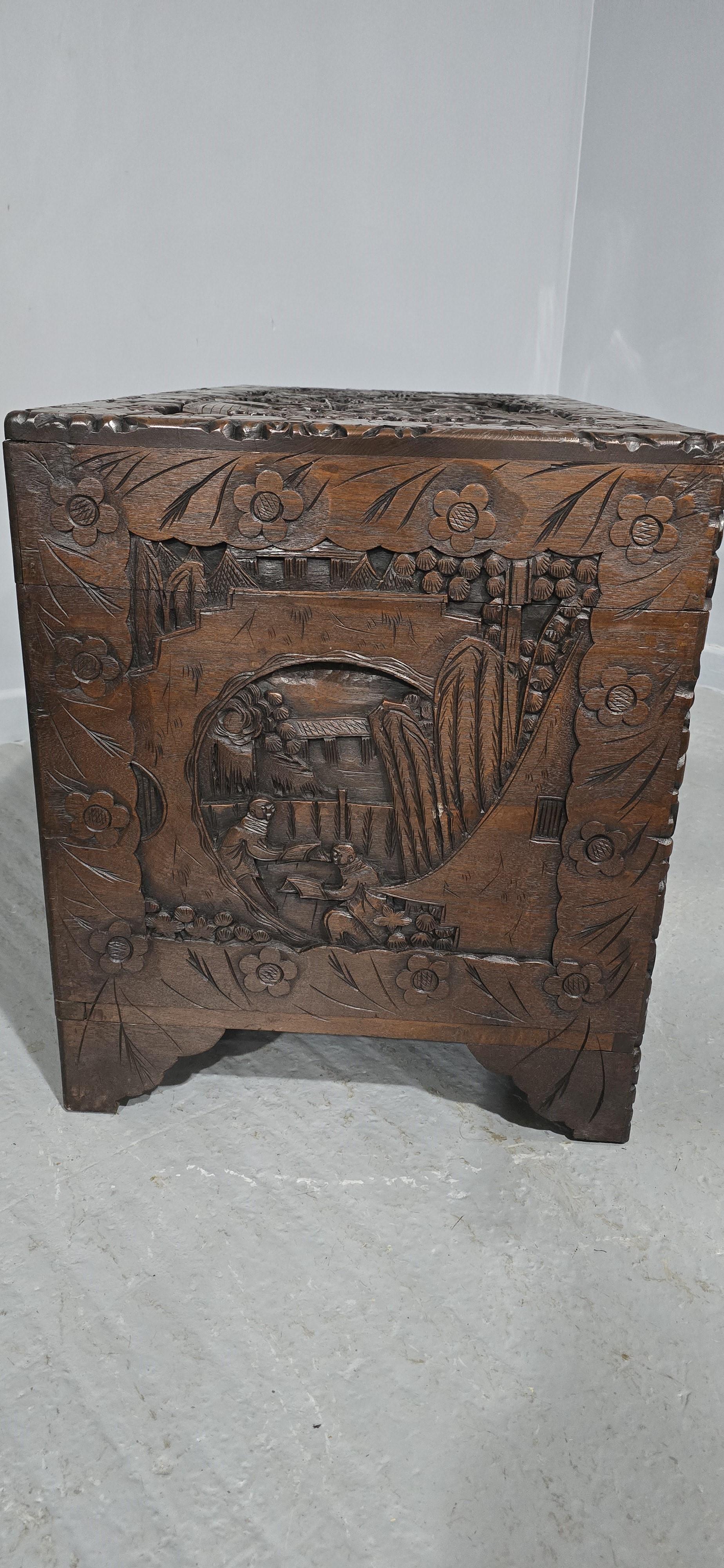 Large Outstanding Camphor Wood Chest For Sale 2