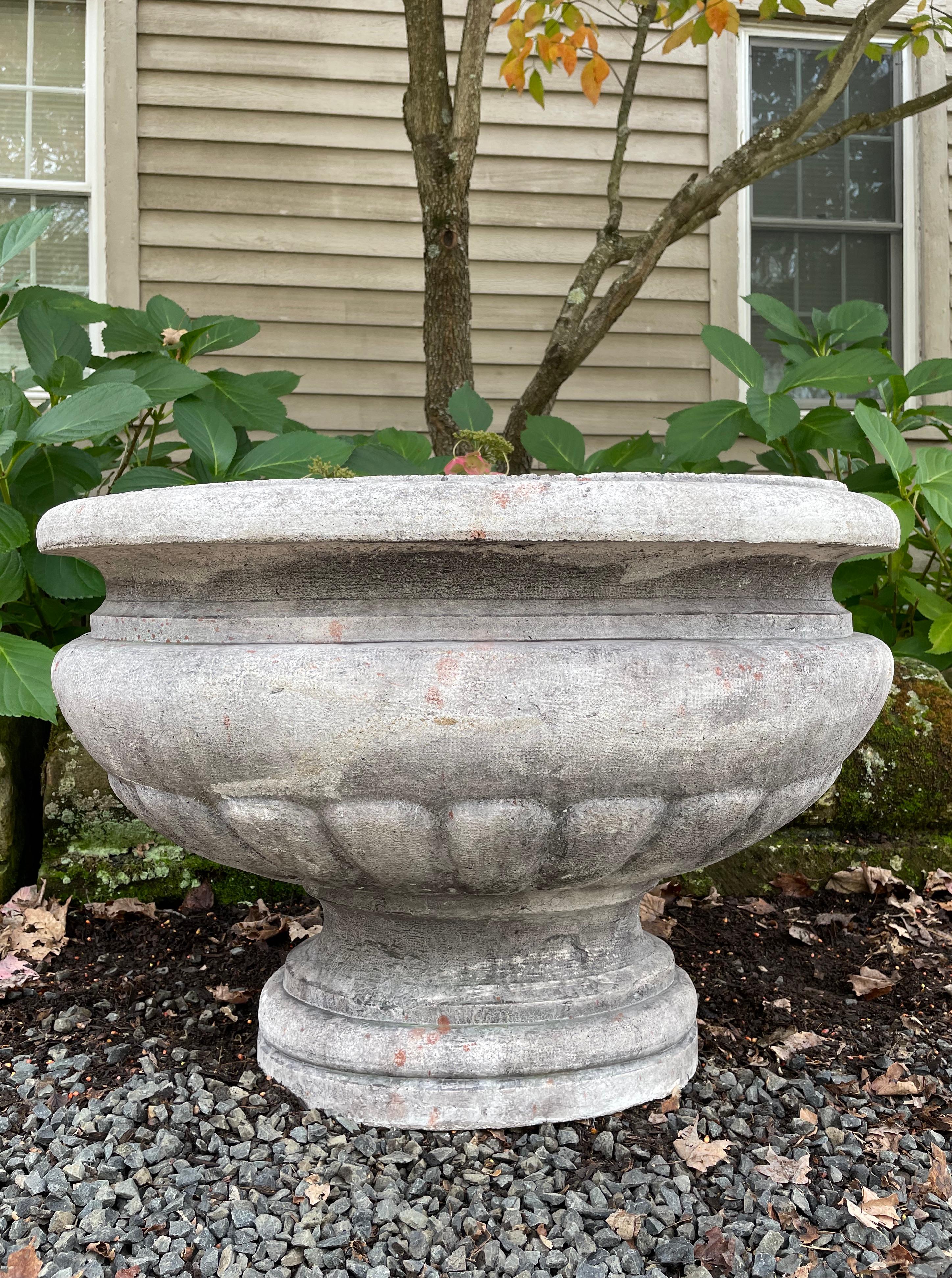 planter pierre