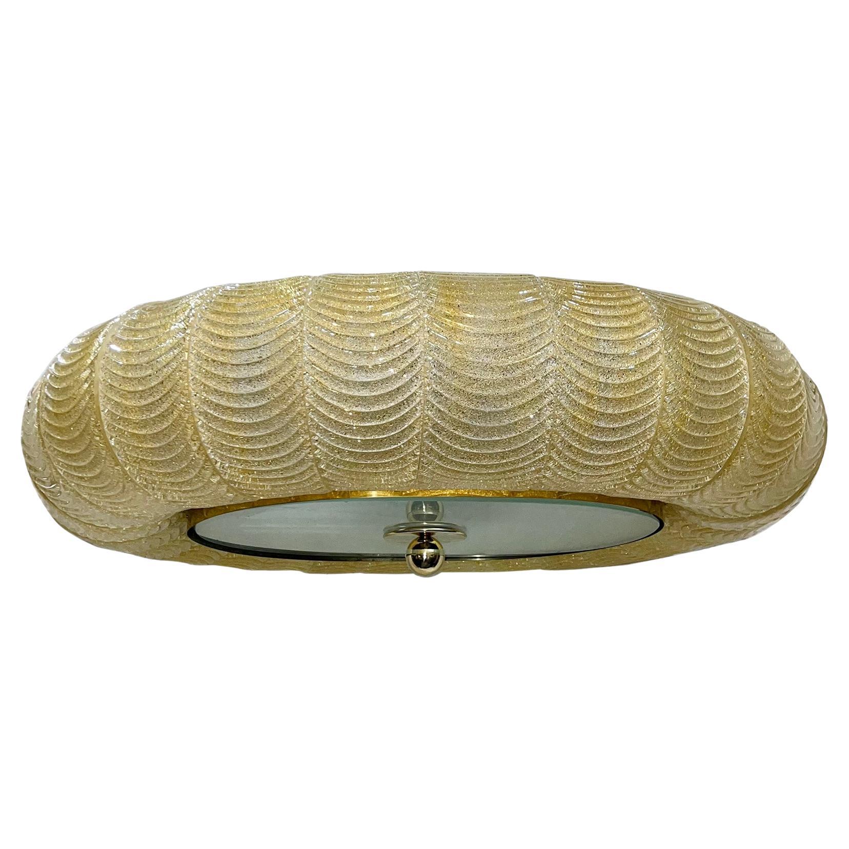 Large Oval Murano Light Fixture