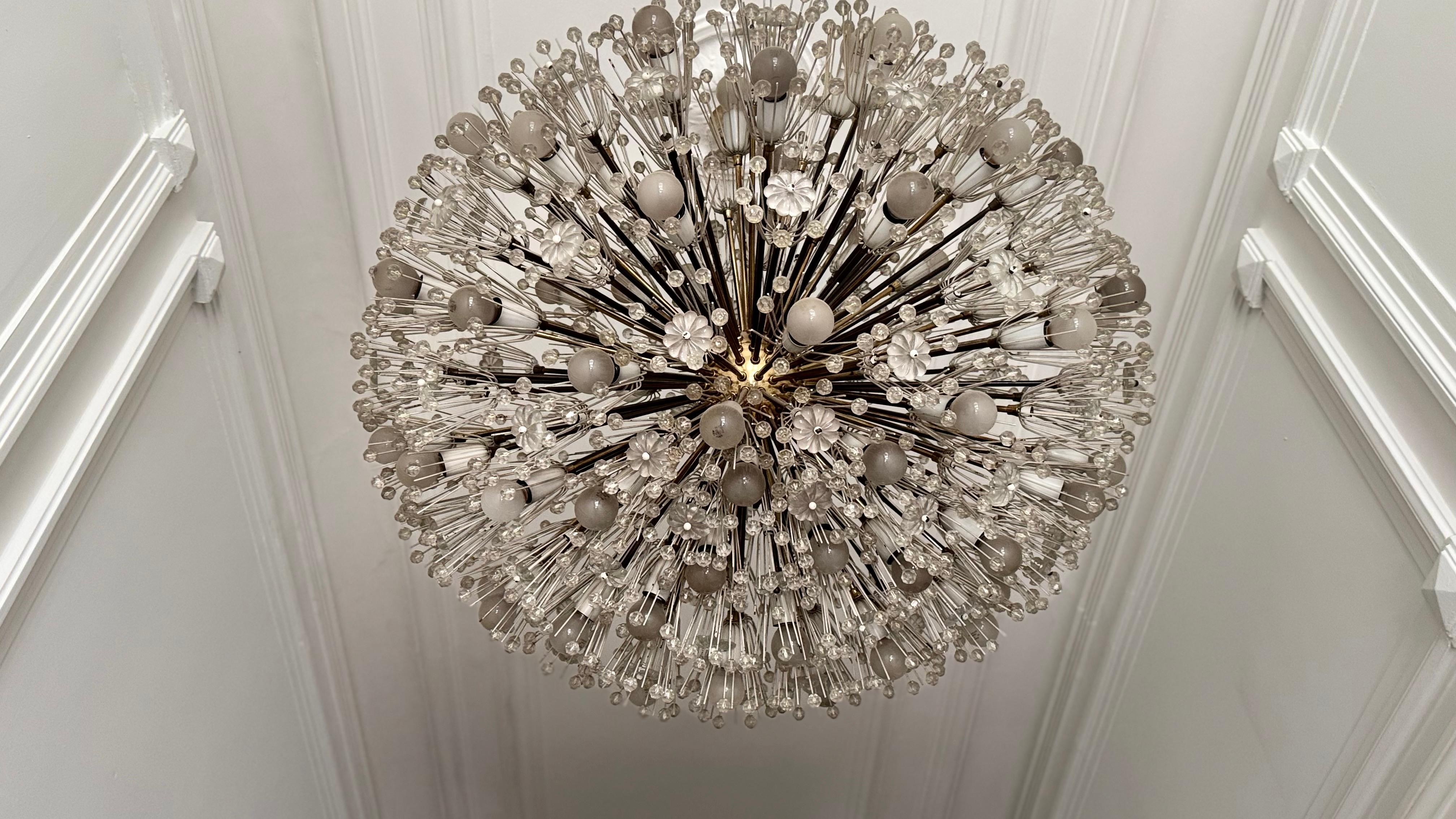 Large Oval Stejnar Flower Glass & Brass Chandelier, Austria, 1950s For Sale 3