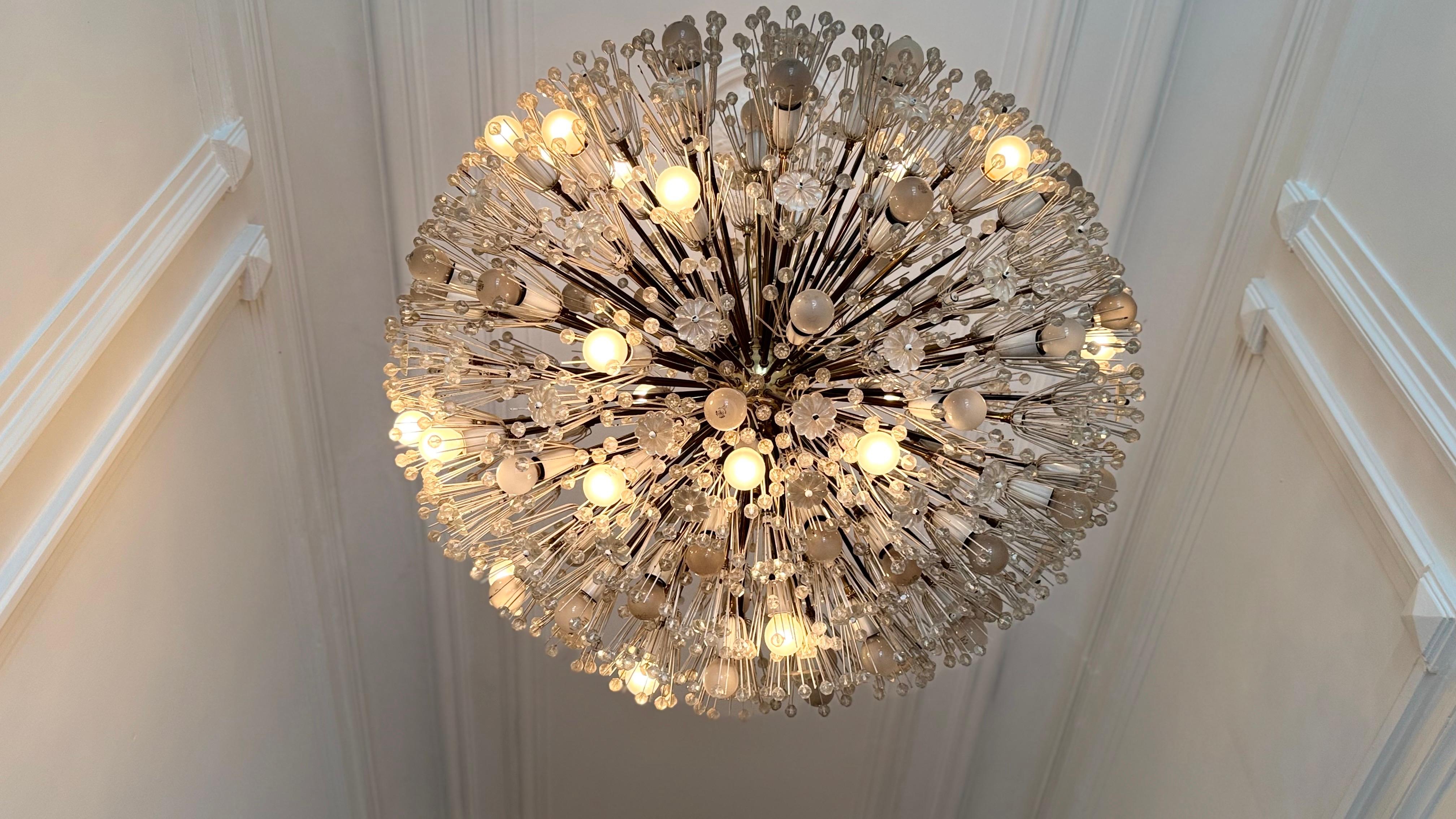 Large Oval Stejnar Flower Glass & Brass Chandelier, Austria, 1950s For Sale 4
