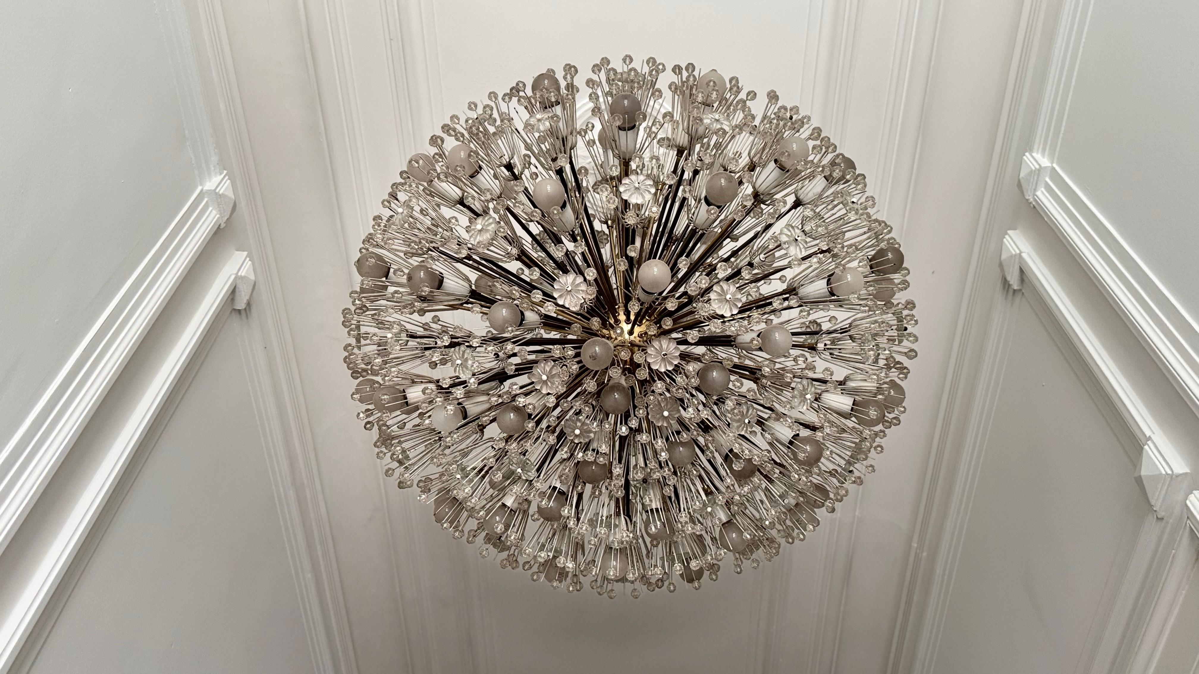 Large Oval Stejnar Flower Glass & Brass Chandelier, Austria, 1950s For Sale 6
