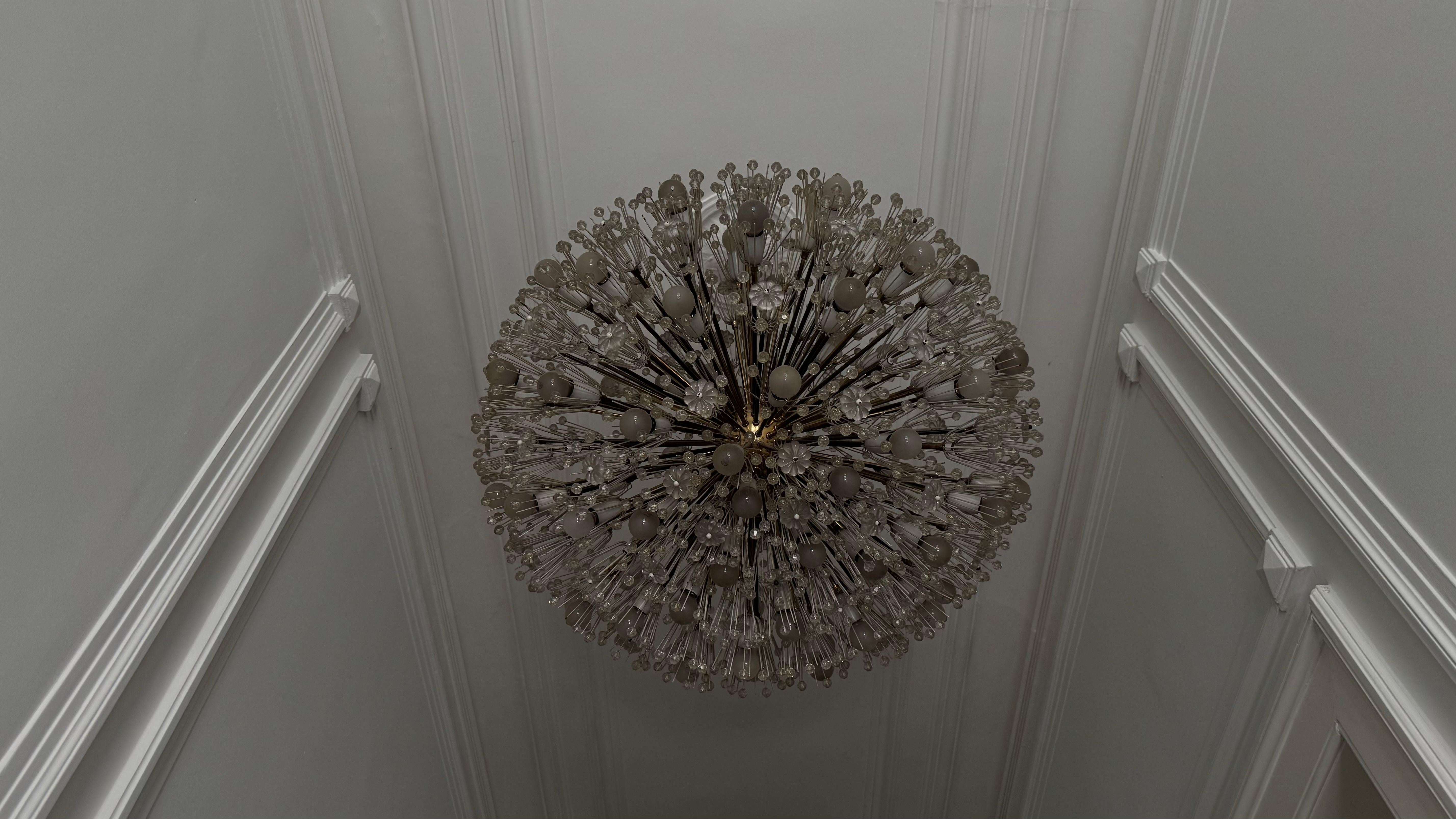 Large Oval Stejnar Flower Glass & Brass Chandelier, Austria, 1950s For Sale 7