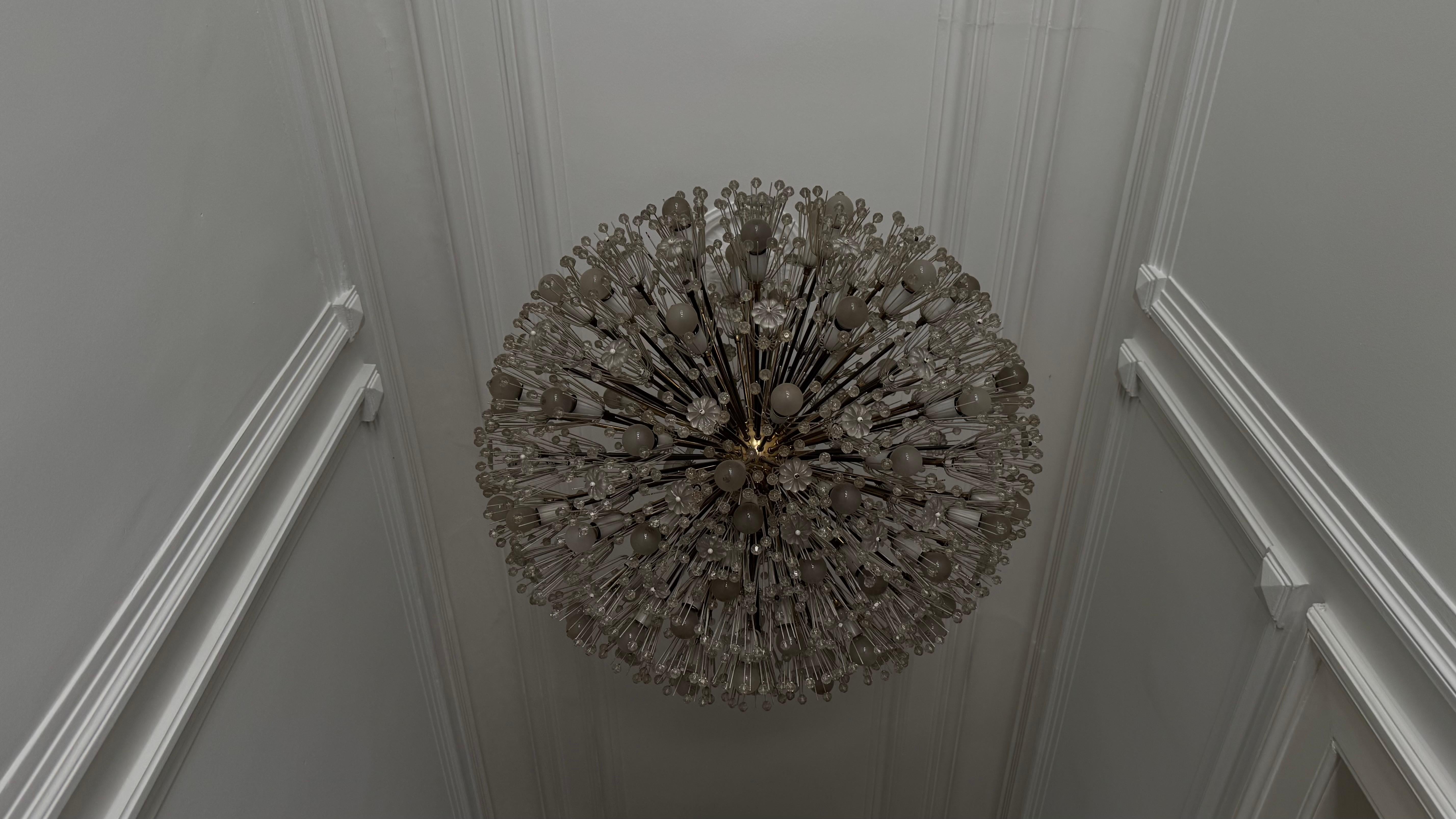 Large Oval Stejnar Flower Glass & Brass Chandelier, Austria, 1950s For Sale 8
