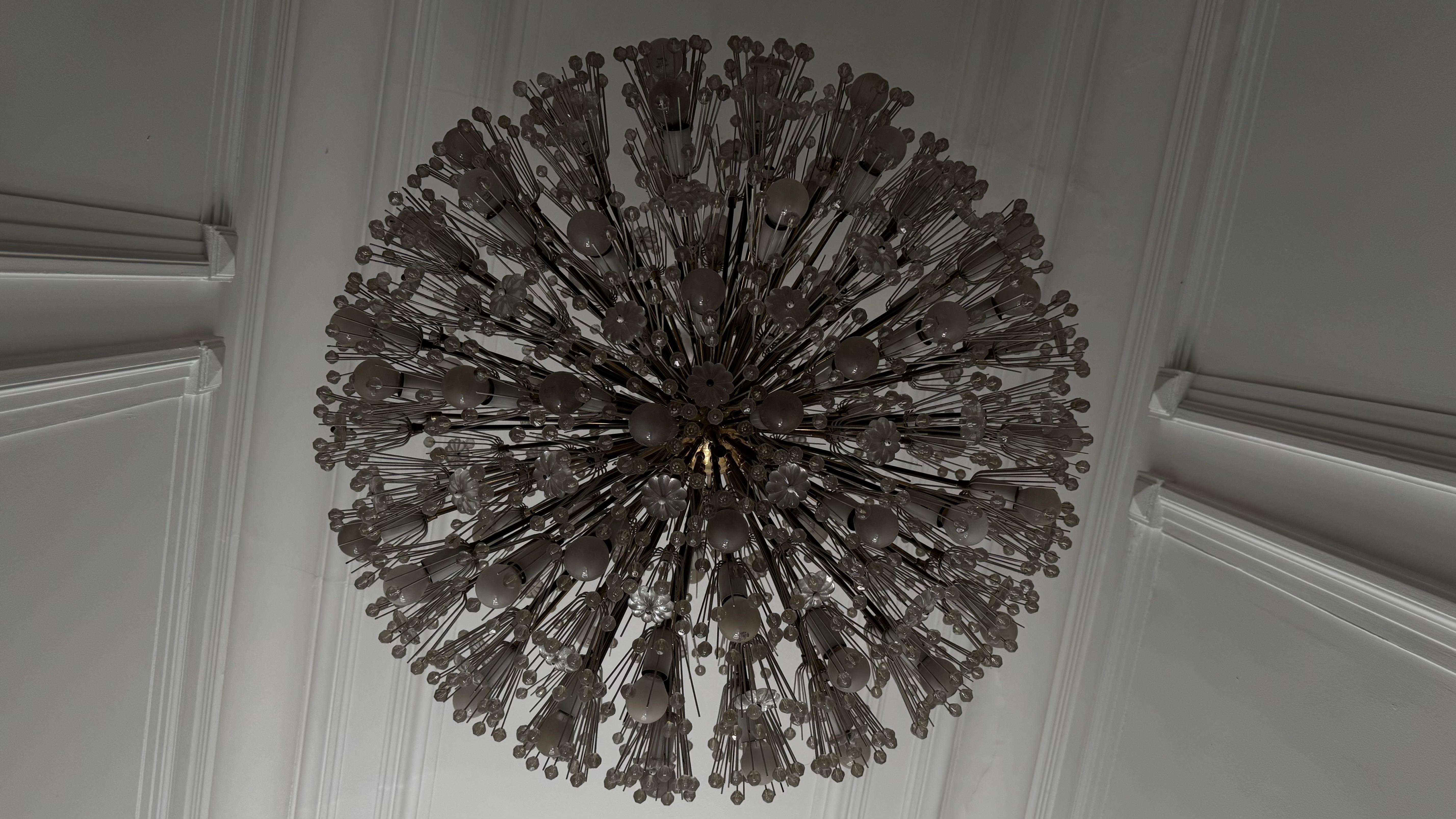 Large Oval Stejnar Flower Glass & Brass Chandelier, Austria, 1950s For Sale 9