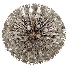 Large Oval Stejnar Flower Glass & Brass Chandelier, Austria, 1950s