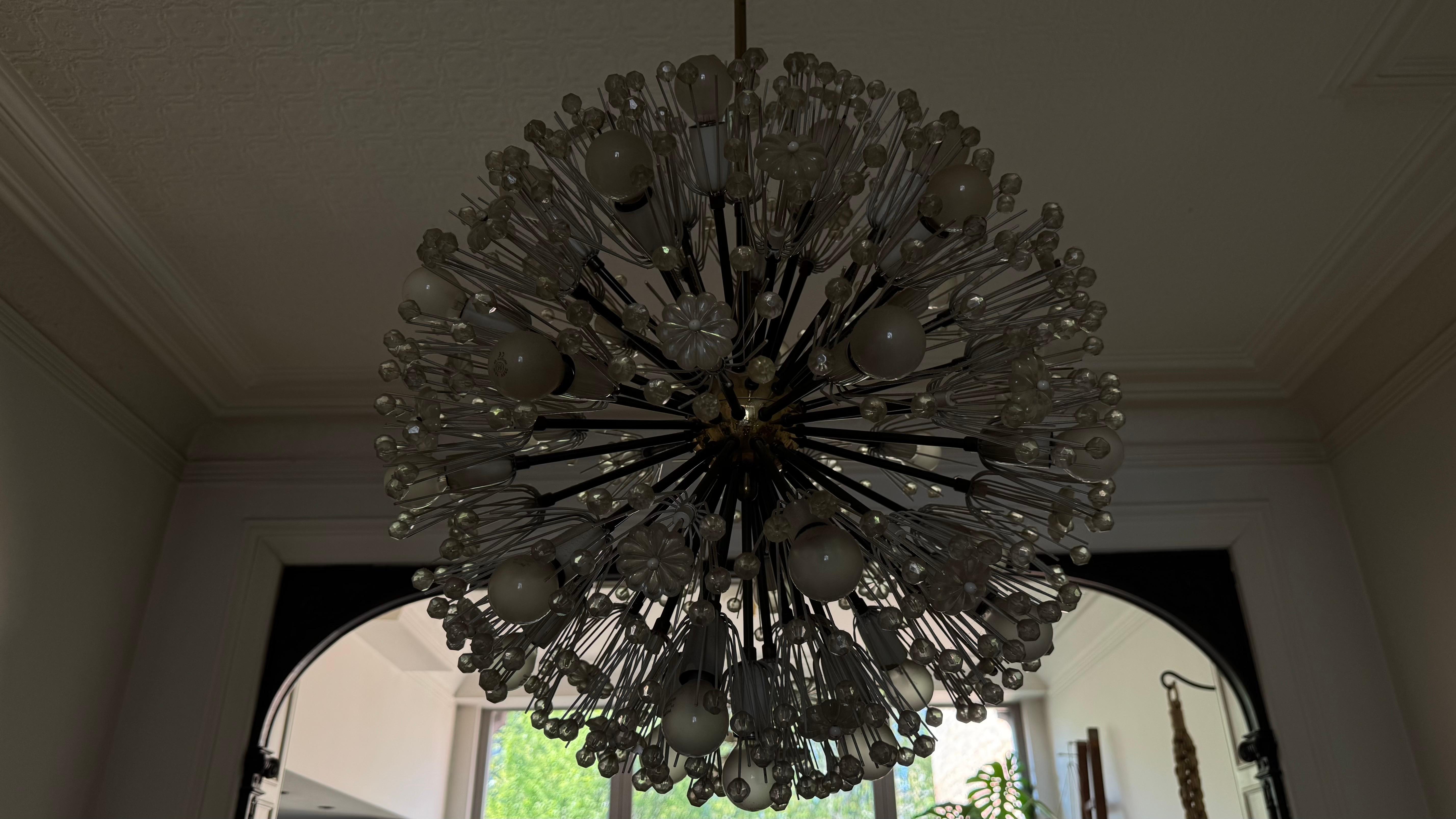 Mid-Century Modern Large Oval Stejnar Flower Glass & Brass Chandelier, Austria, 1950s For Sale