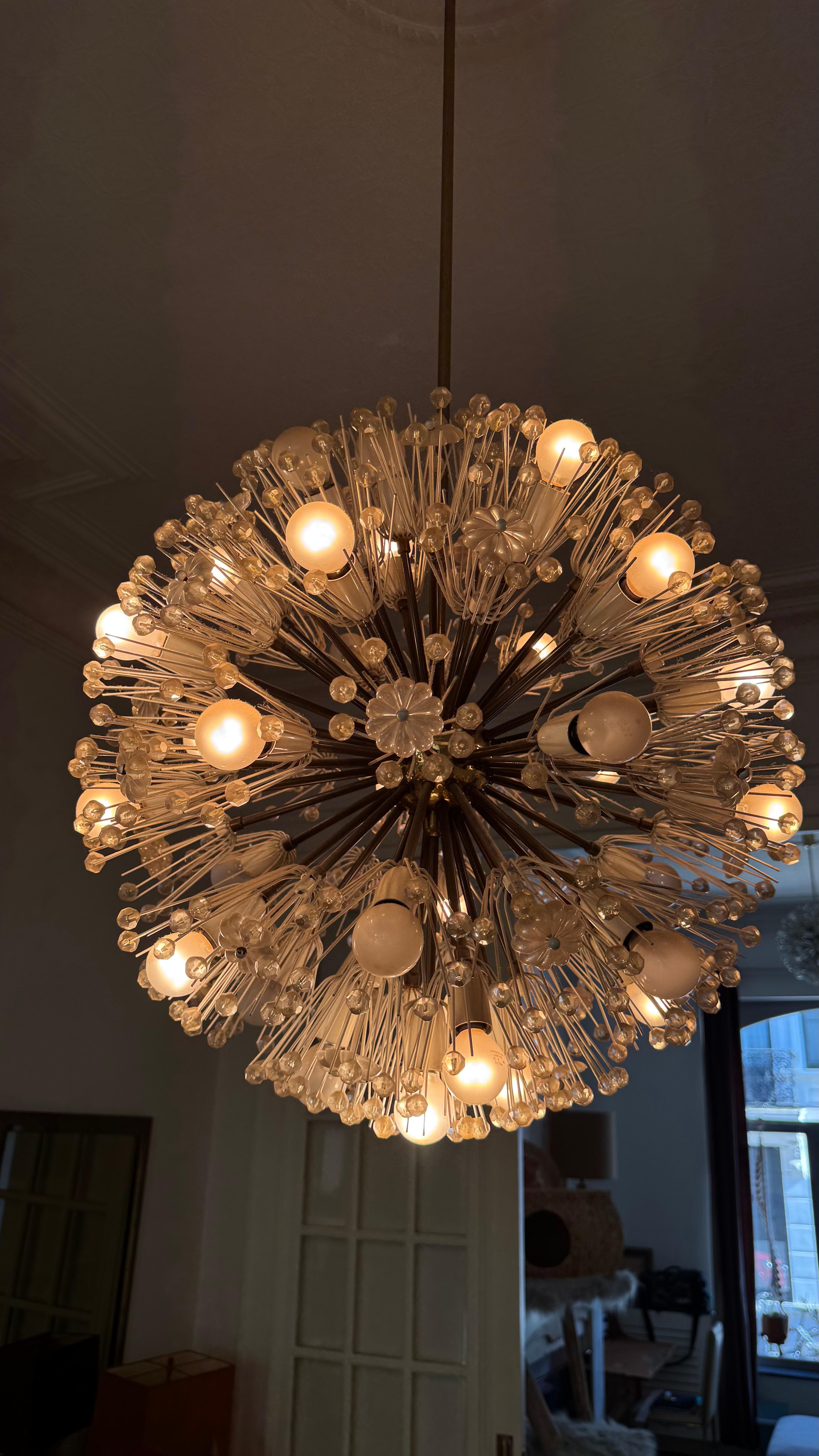 Austrian Large Oval Stejnar Flower Glass & Brass Chandelier, Austria, 1950s For Sale
