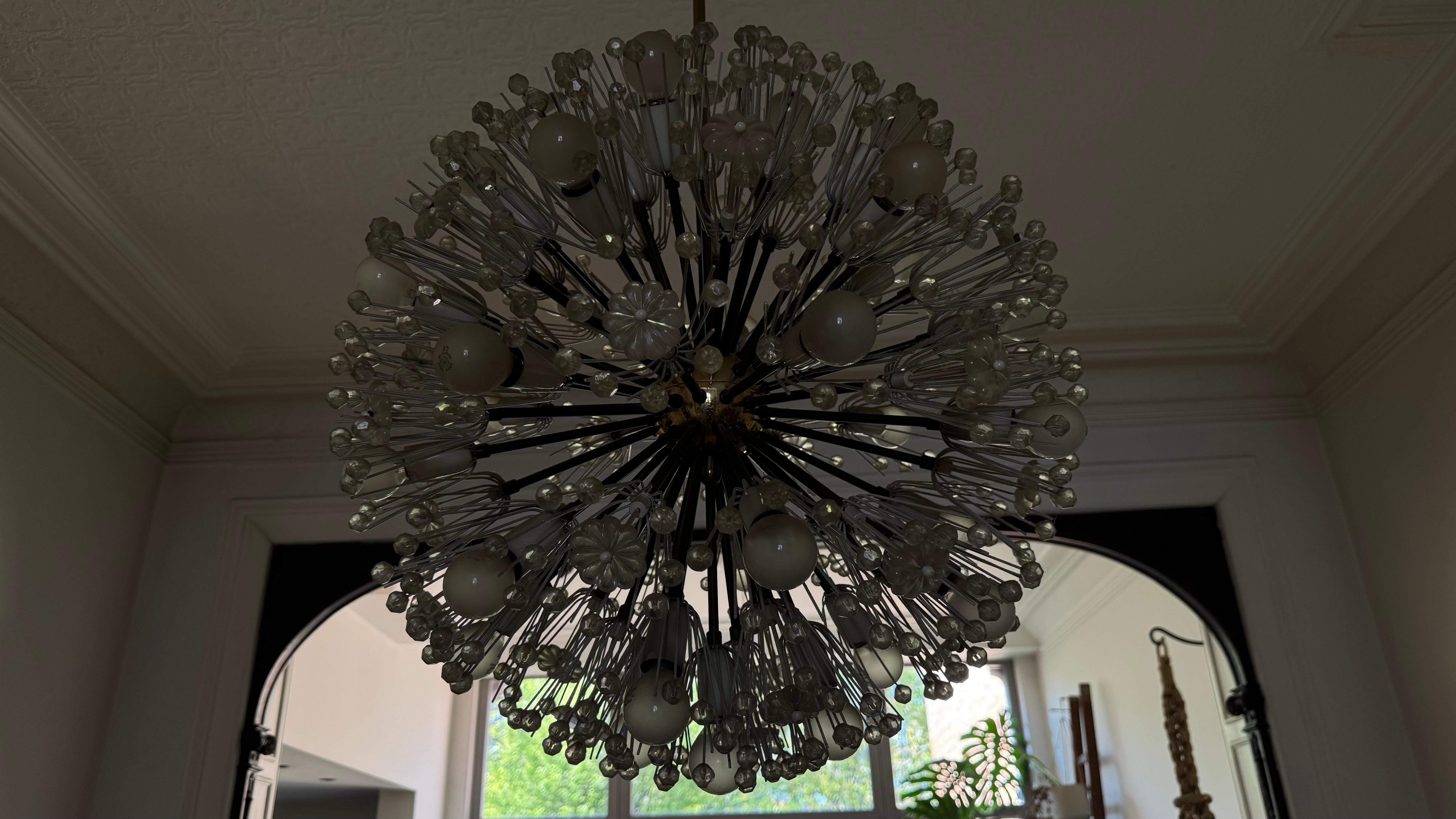 Large Oval Stejnar Flower Glass & Brass Chandelier, Austria, 1950s In Good Condition For Sale In Antwerp, BE