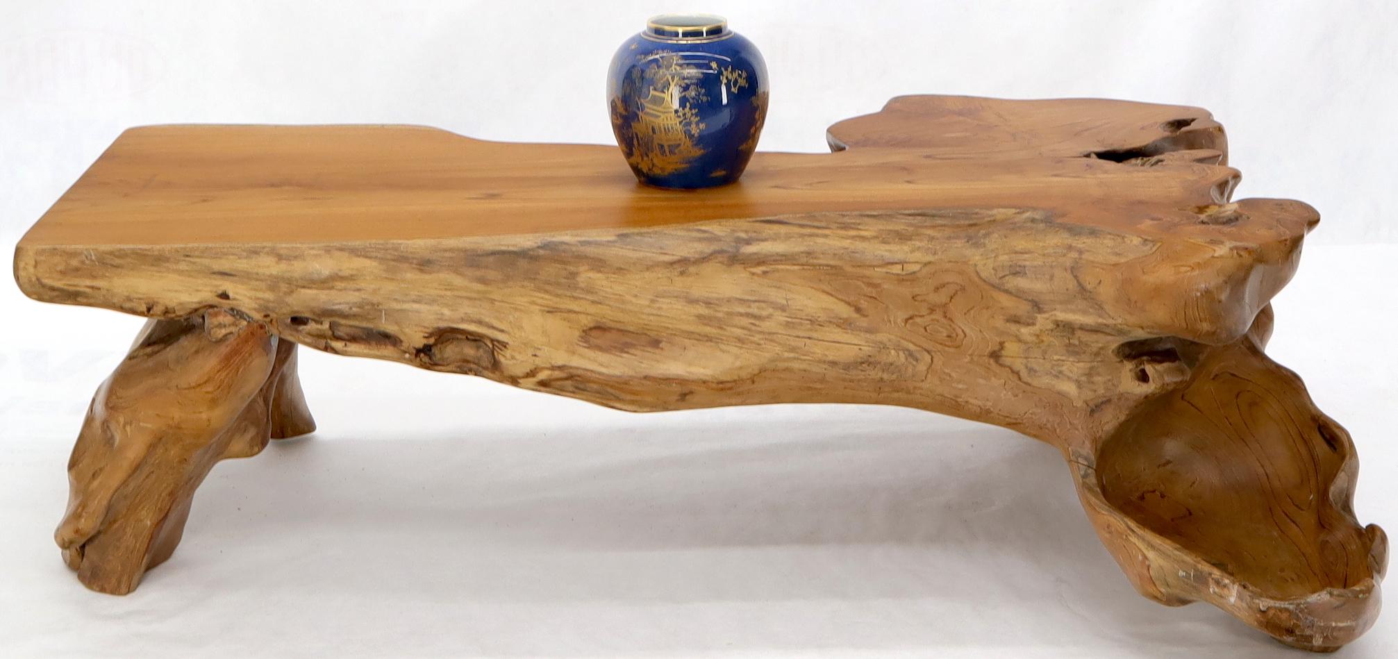 Large Oversize Solid Teak Live Edge Coffee Table For Sale 5