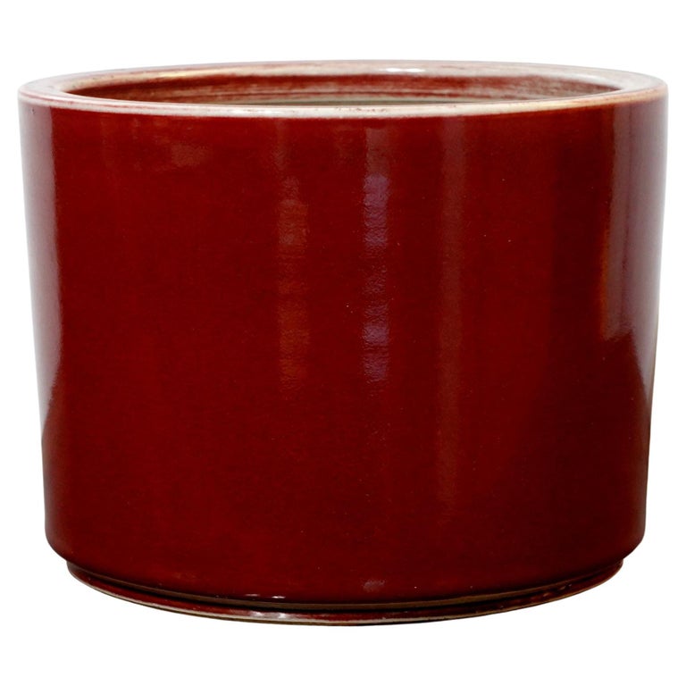 Large OxbloodGlazed Brush Holder/Pot, 19th Century For Sale at 1stDibs