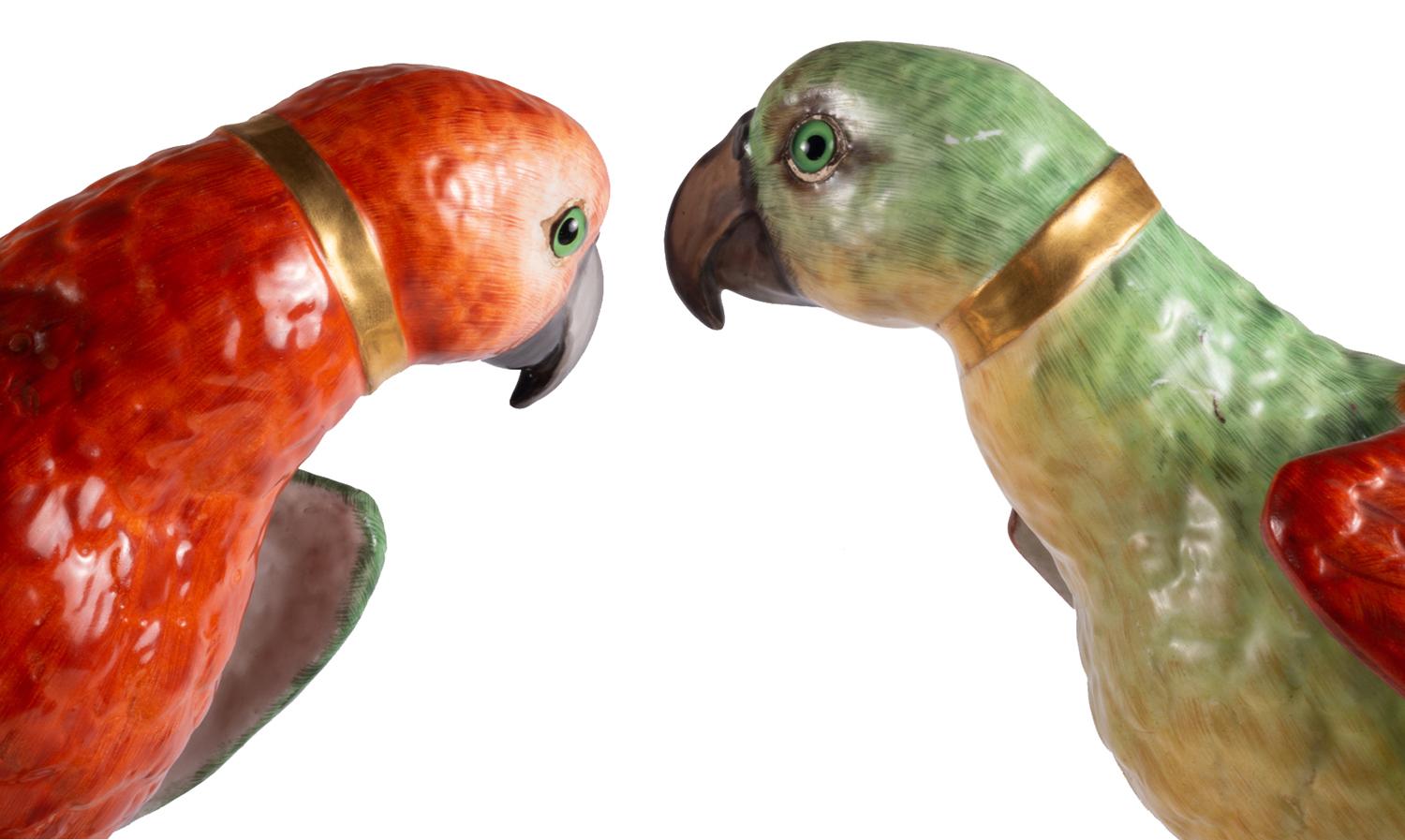 Large Pair of 19th Century Dresden Porcelain Parrots 9