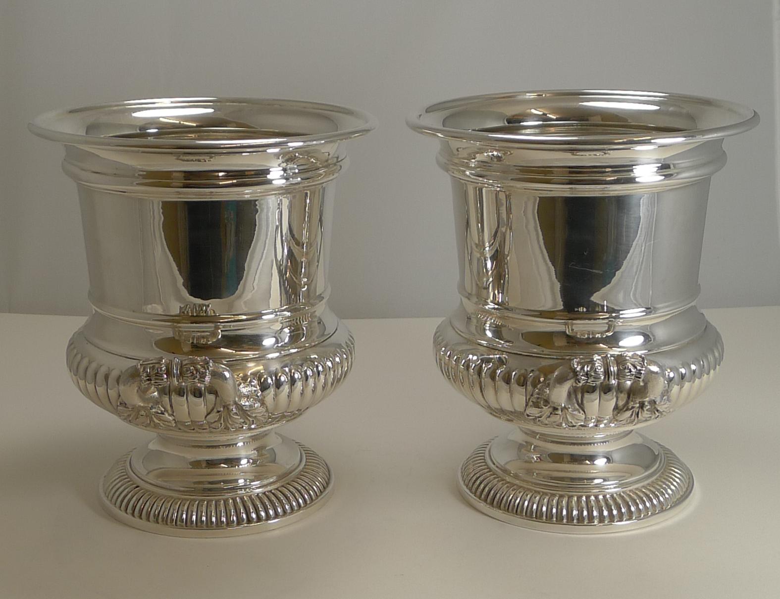 A handsome pair of antique English silver plated wine or Champagne coolers.

This pair is larger than most, and definitely deeper, perfect for lots of ice.

Dating to circa 1910, they remain in excellent condition and ready to serve. The top rim