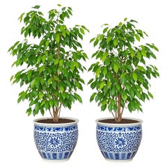 Large Pair Chinese Planters Hand Painted Underglaze Cobalt Blue Peony Scroll