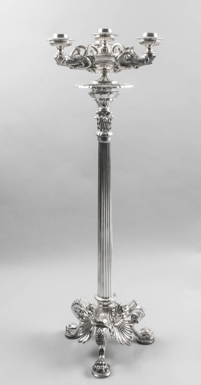 A magnificent and impressive pair of large and decorative silver plated four light candelabra in the neoclassical style and dating from the third quarter of the 20th century.

Each of the four-light candelabra features fluted stems and is