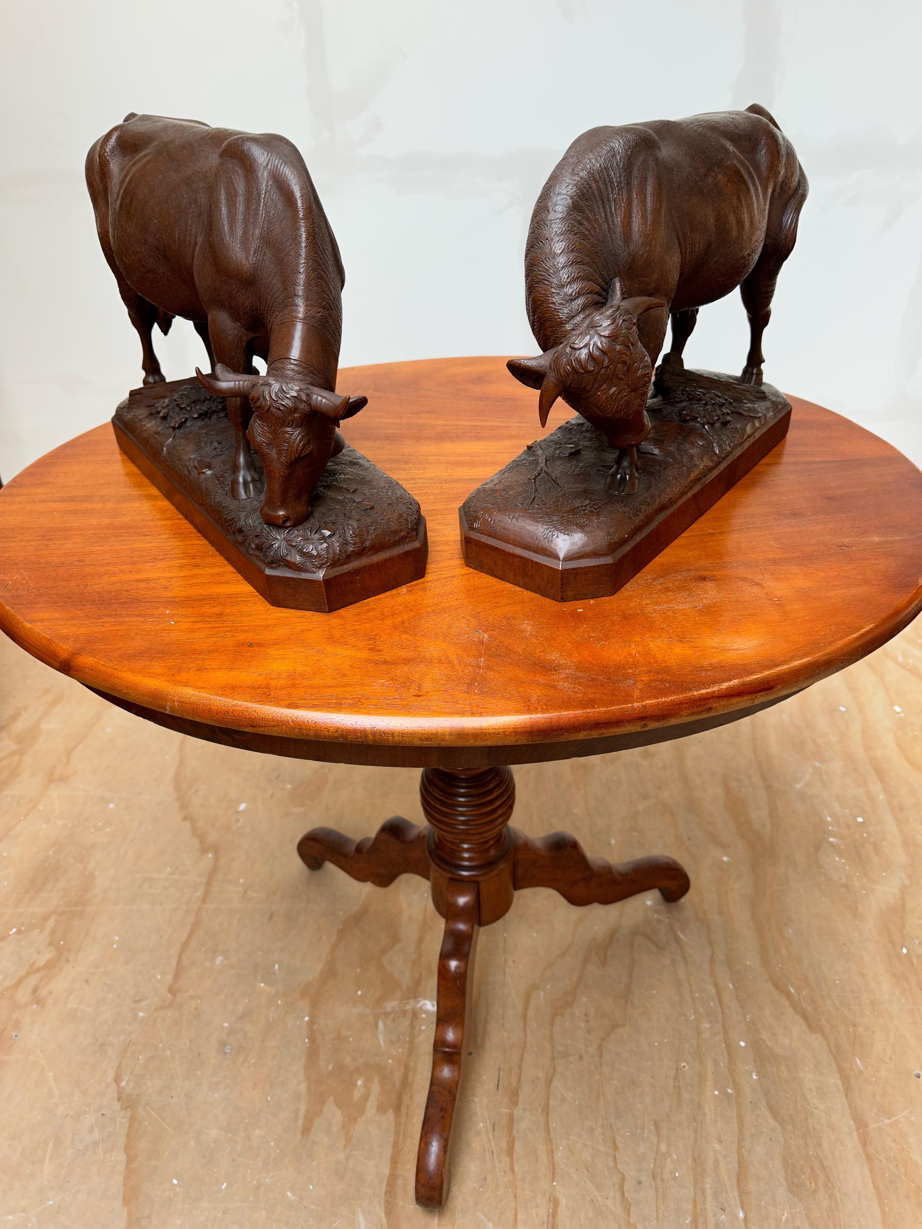 Large Pair & Finest Quality, Antique Nutwood Swiss Black Forest Bull and Cow 7
