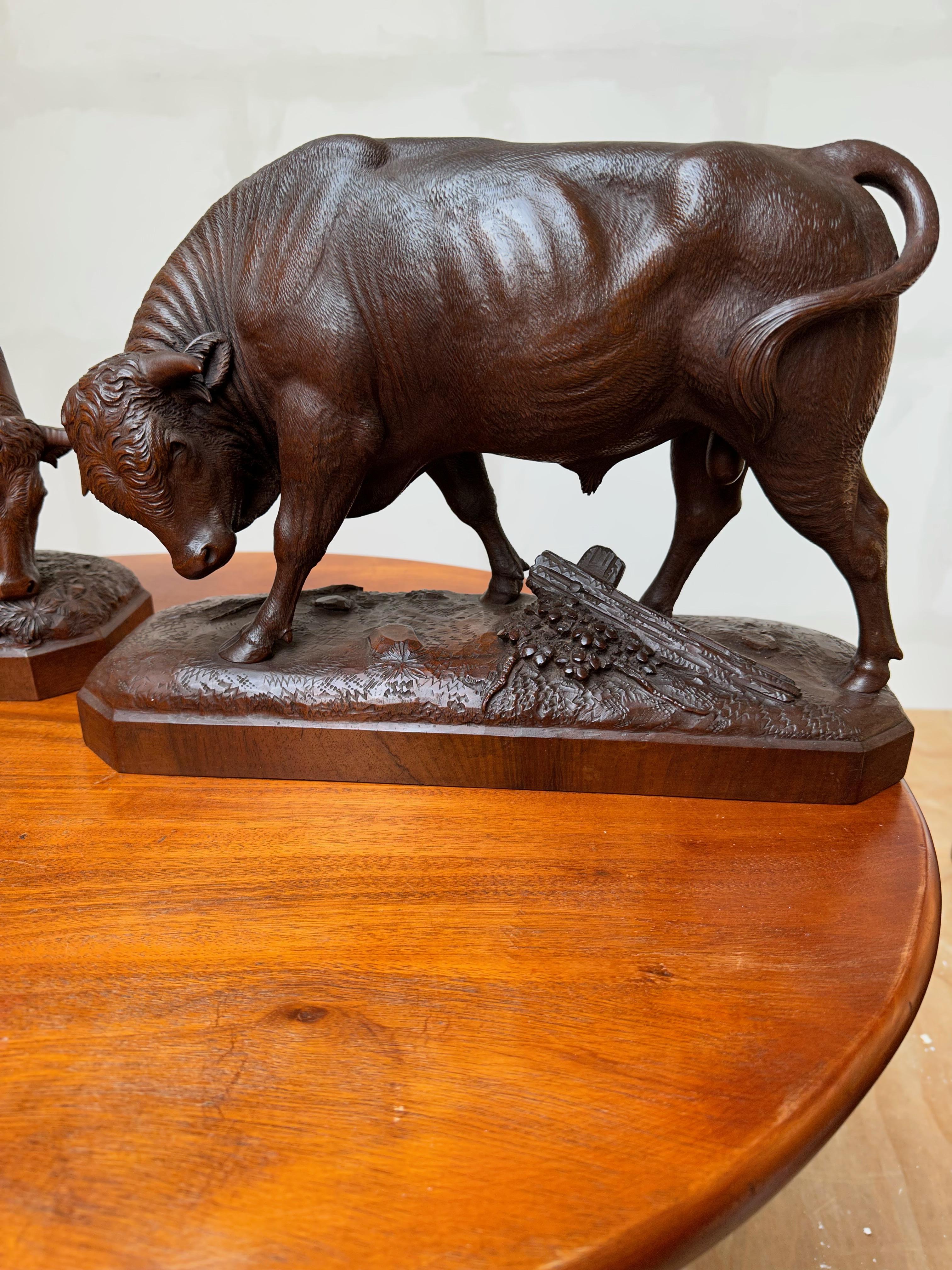 Large Pair & Finest Quality, Antique Nutwood Swiss Black Forest Bull and Cow 11