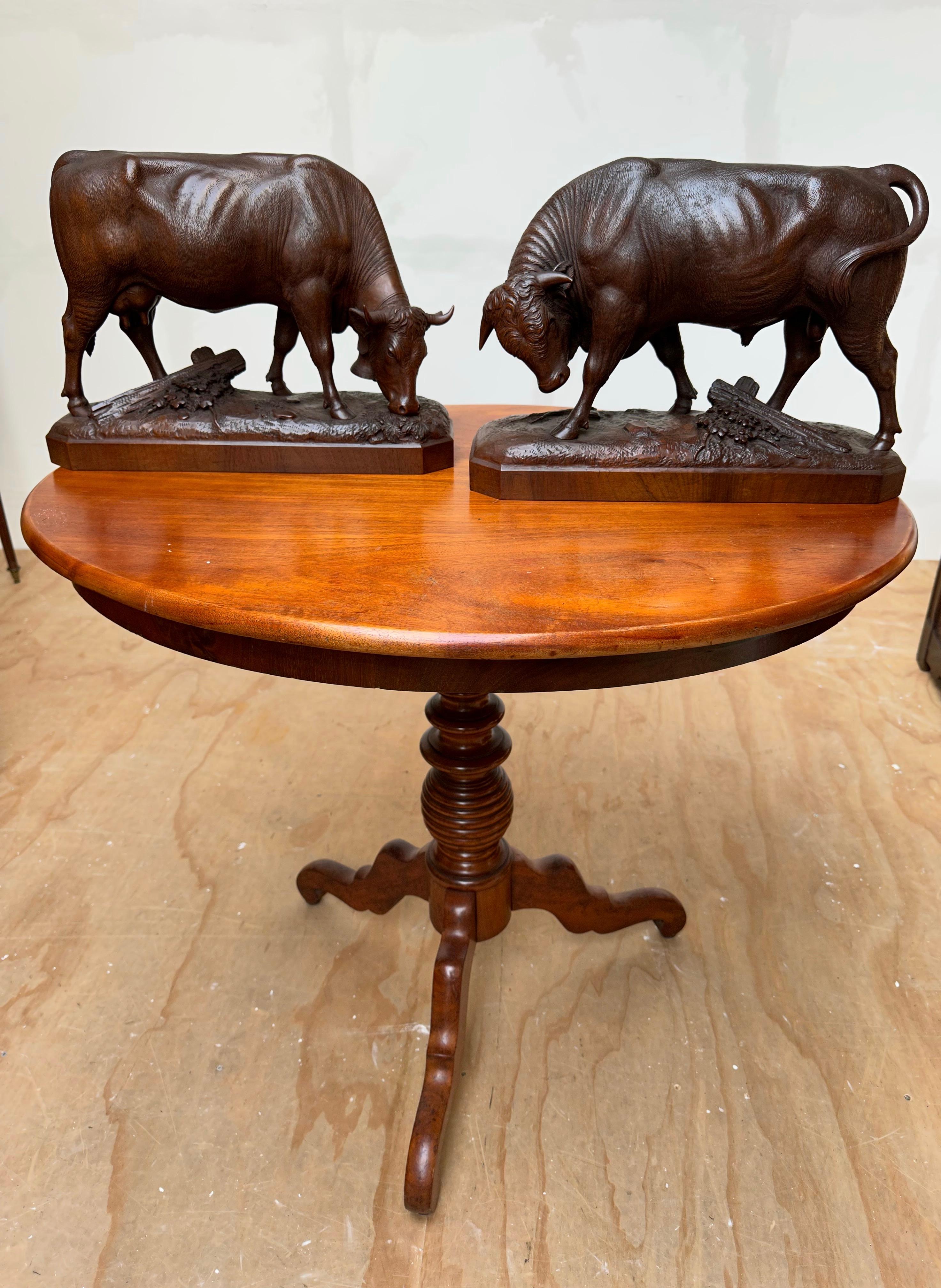 Large Pair & Finest Quality, Antique Nutwood Swiss Black Forest Bull and Cow 12