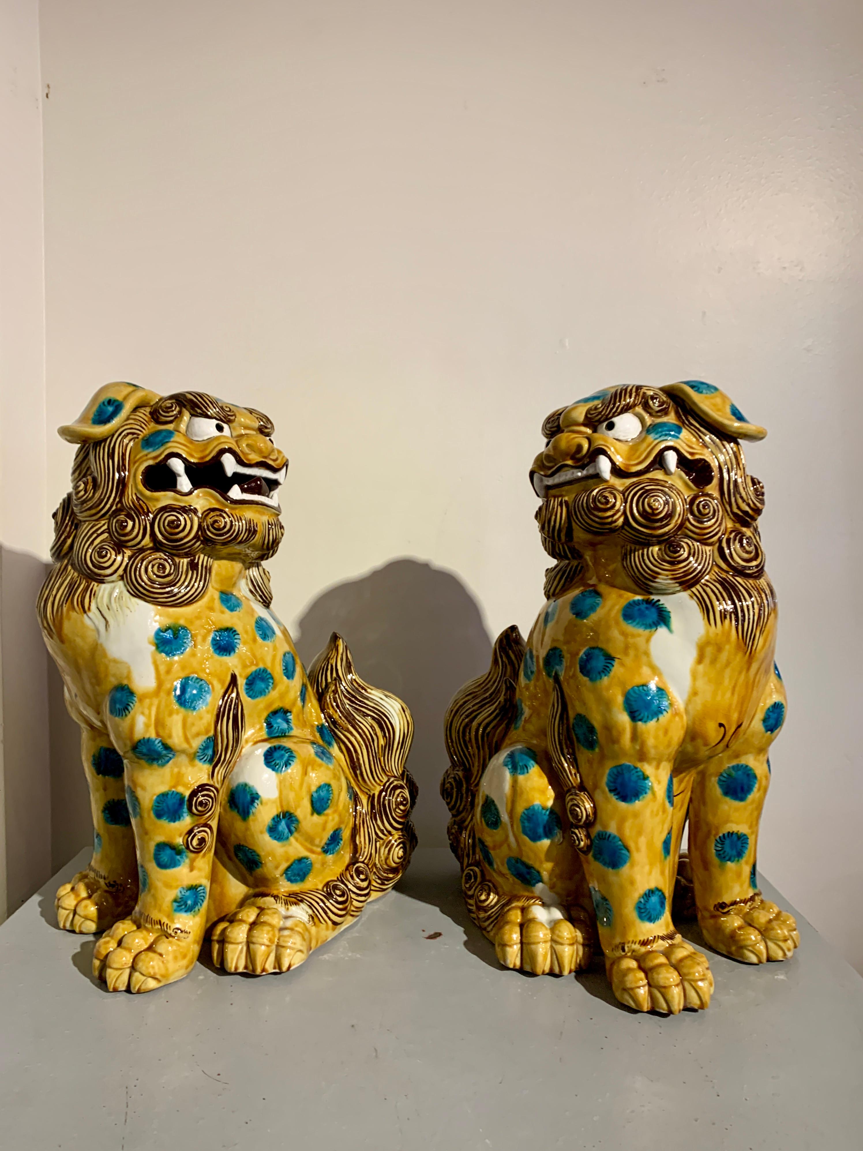 A large and fabulous pair of Japanese yellow glazed Kutani style porcelain lion-dogs, komainu, Showa Era, circa 1960's, Japan.

The delightfully ferocious pair of glazed porcelain komainu are portrayed seated upon their haunches with their heads