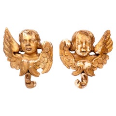 Large Pair of 18th Century Italian Carved Cherub Busts
