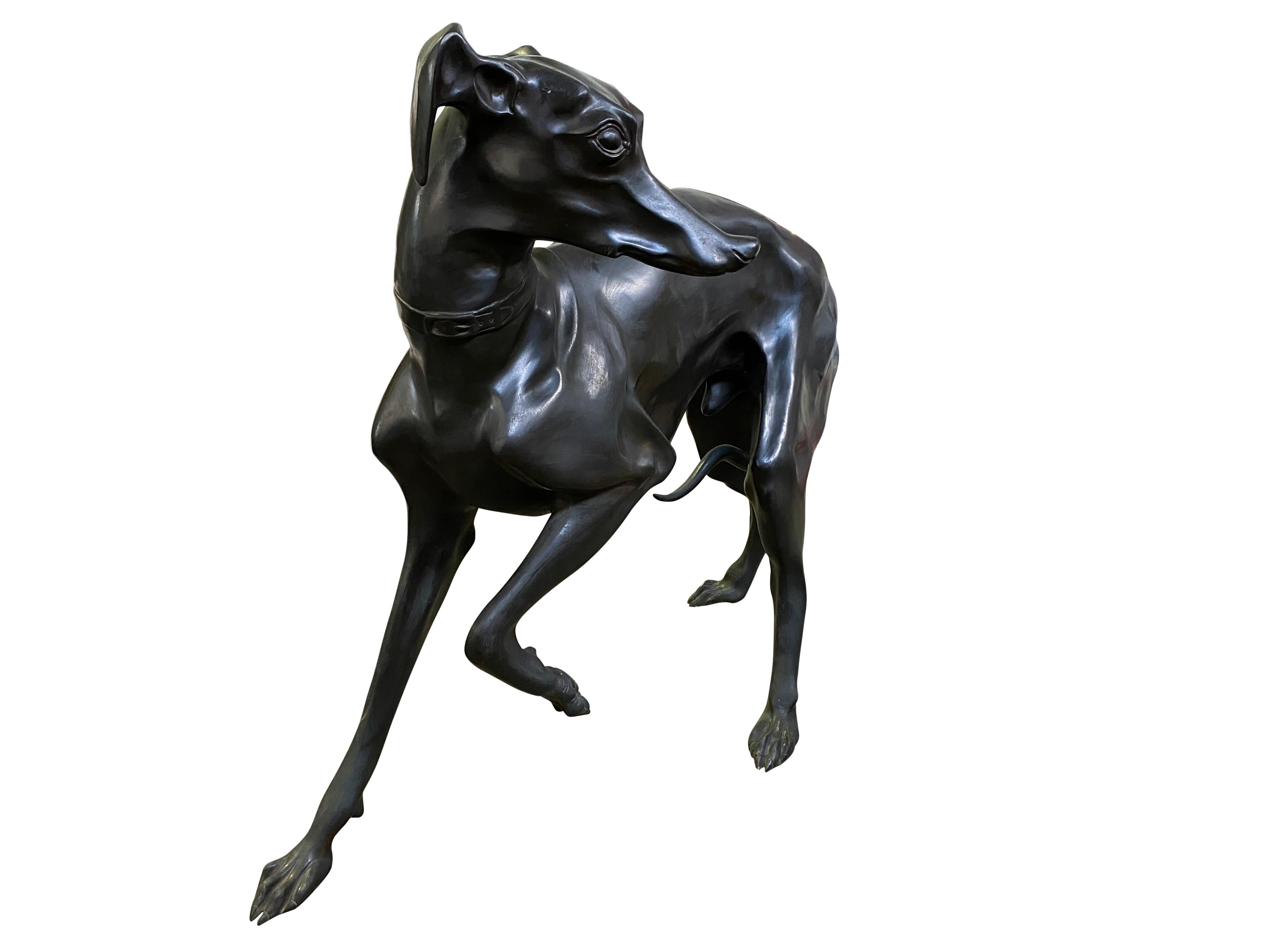 Cast Large Pair of 1960s Bronze Greyhounds in Dominance Stance For Sale