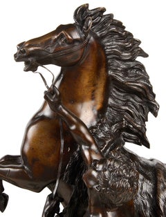 Large Pair of 19th Century Bronze Marly Horses, After Coustou