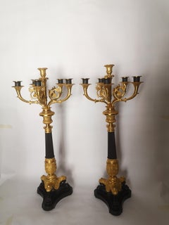 Large Pair of 19th Century French Bronze and Gilt Candelabra