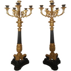 Large Pair of 19th Century French Bronze and Gilt Candelabra