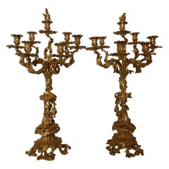 Large Pair of 19th Century French Gilt Bronze Candelabra