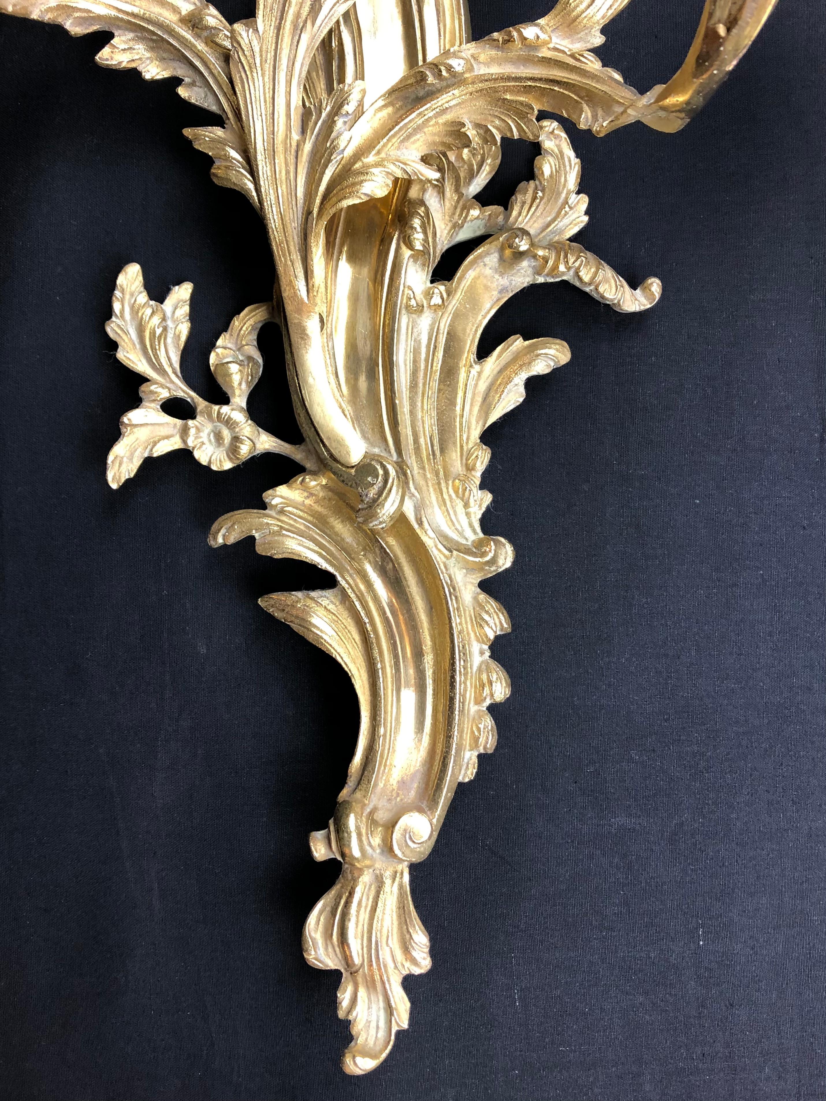 Large Pair of 19th Century Louis XV Ormolu or Gilt Bronze Sconces  In Good Condition In Miami, FL