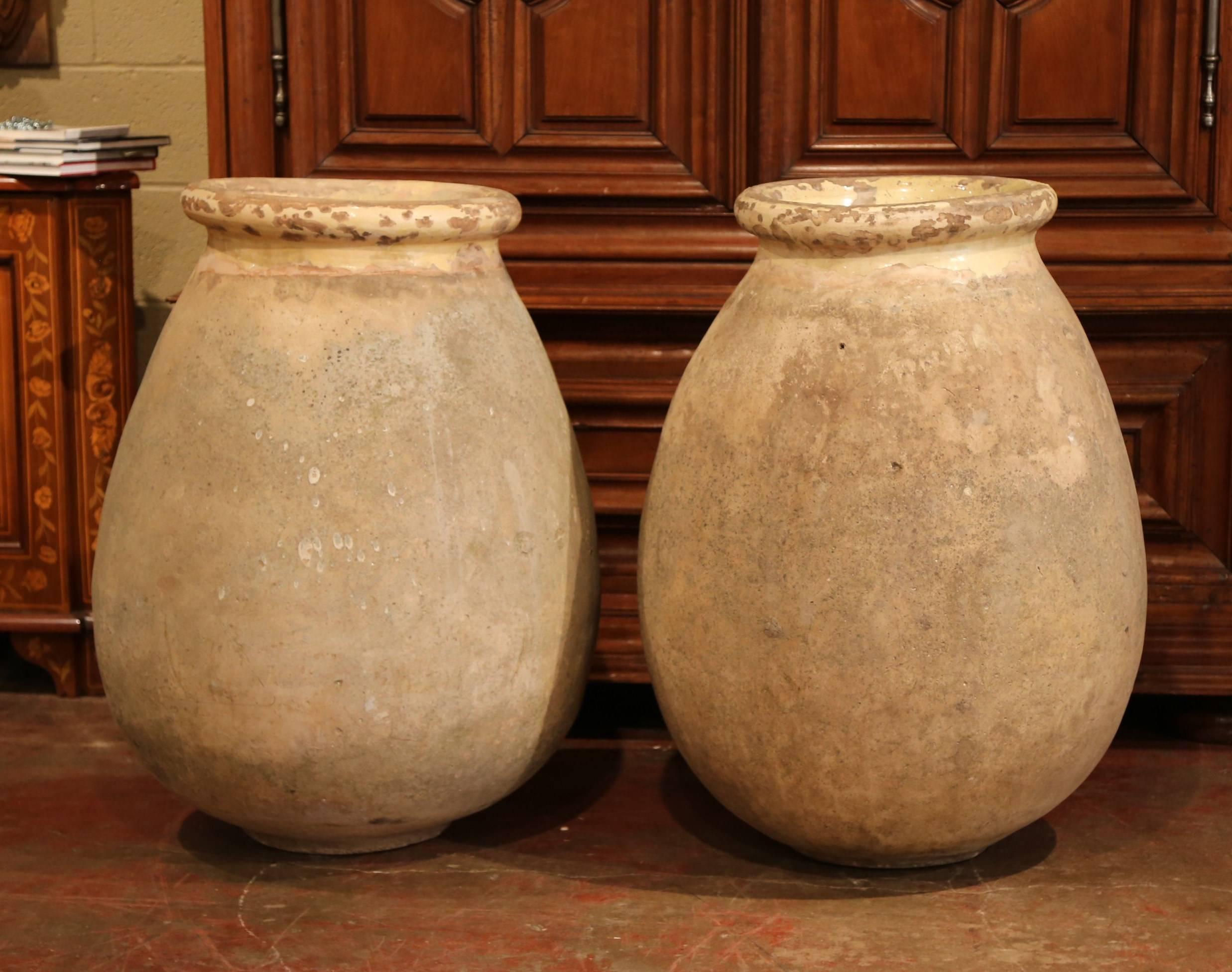 Large Pair of 19th Century French Terracotta Olive Jar from Provence 1