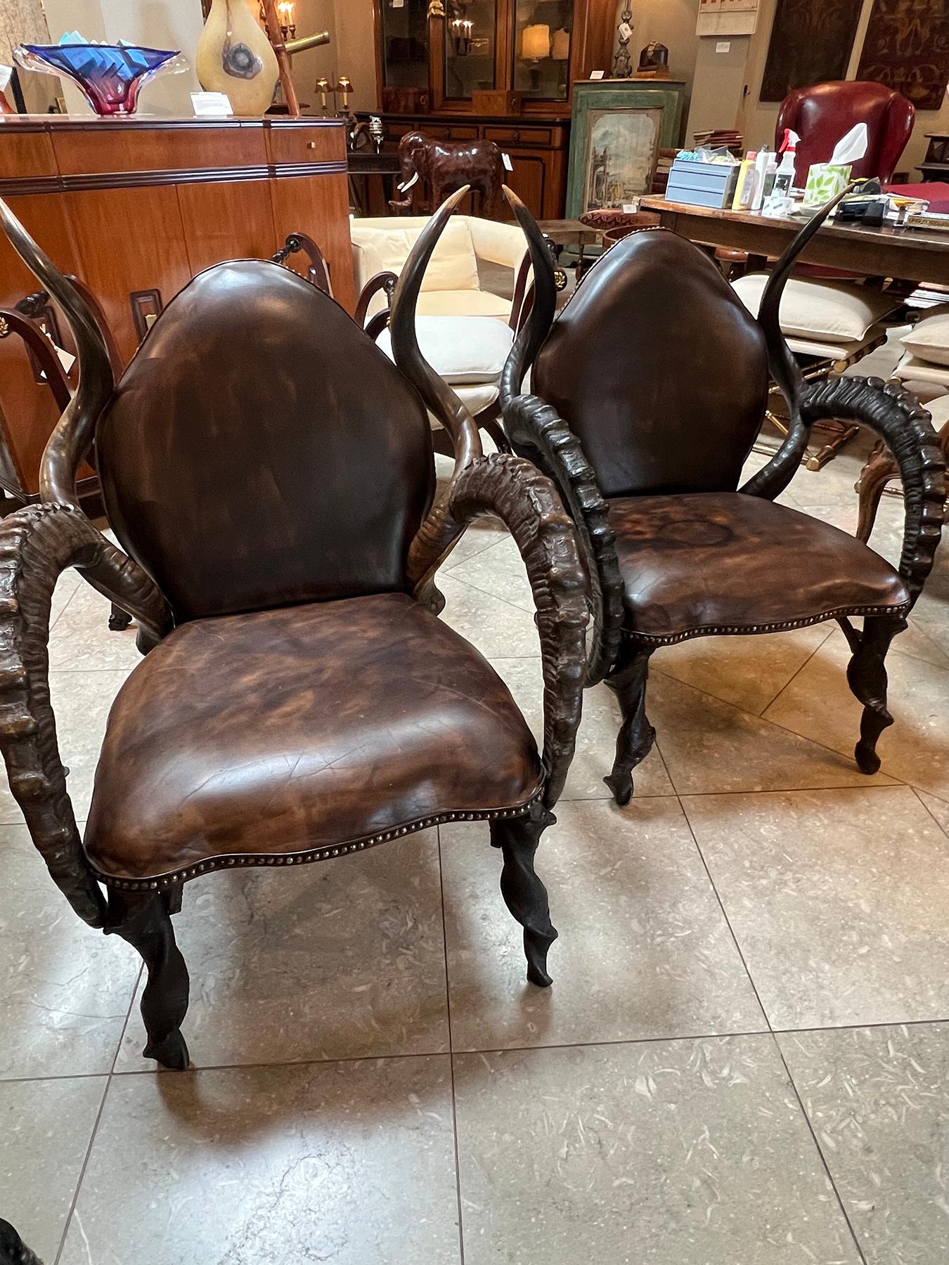 Large Pair of Antique African Kudu Antelope Armchairs 3
