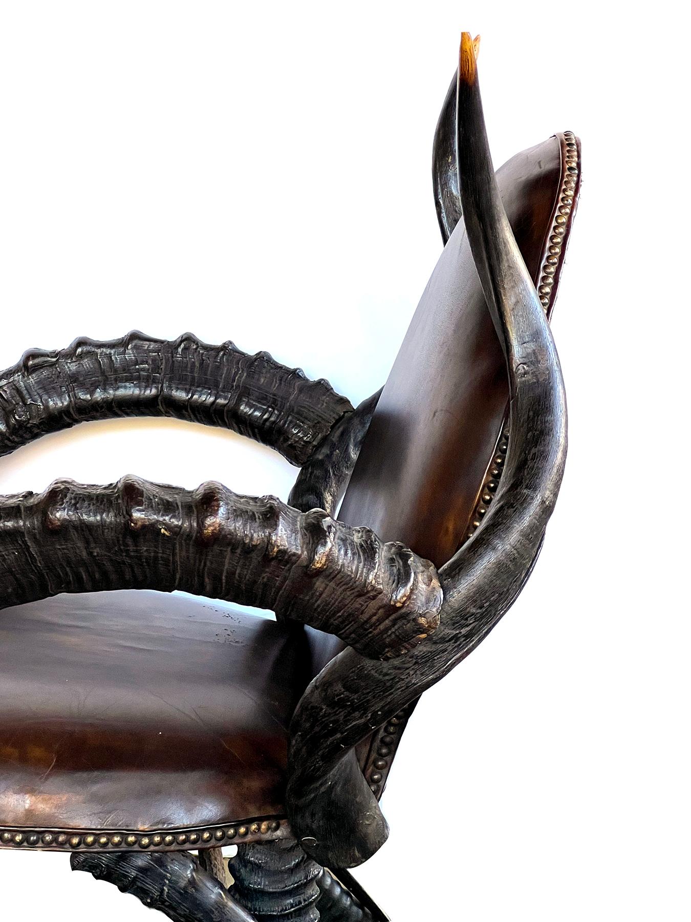 Large Pair of Antique African Kudu Antelope Armchairs 2
