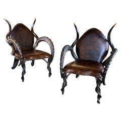 Large Pair of Antique African Kudu Antelope Armchairs