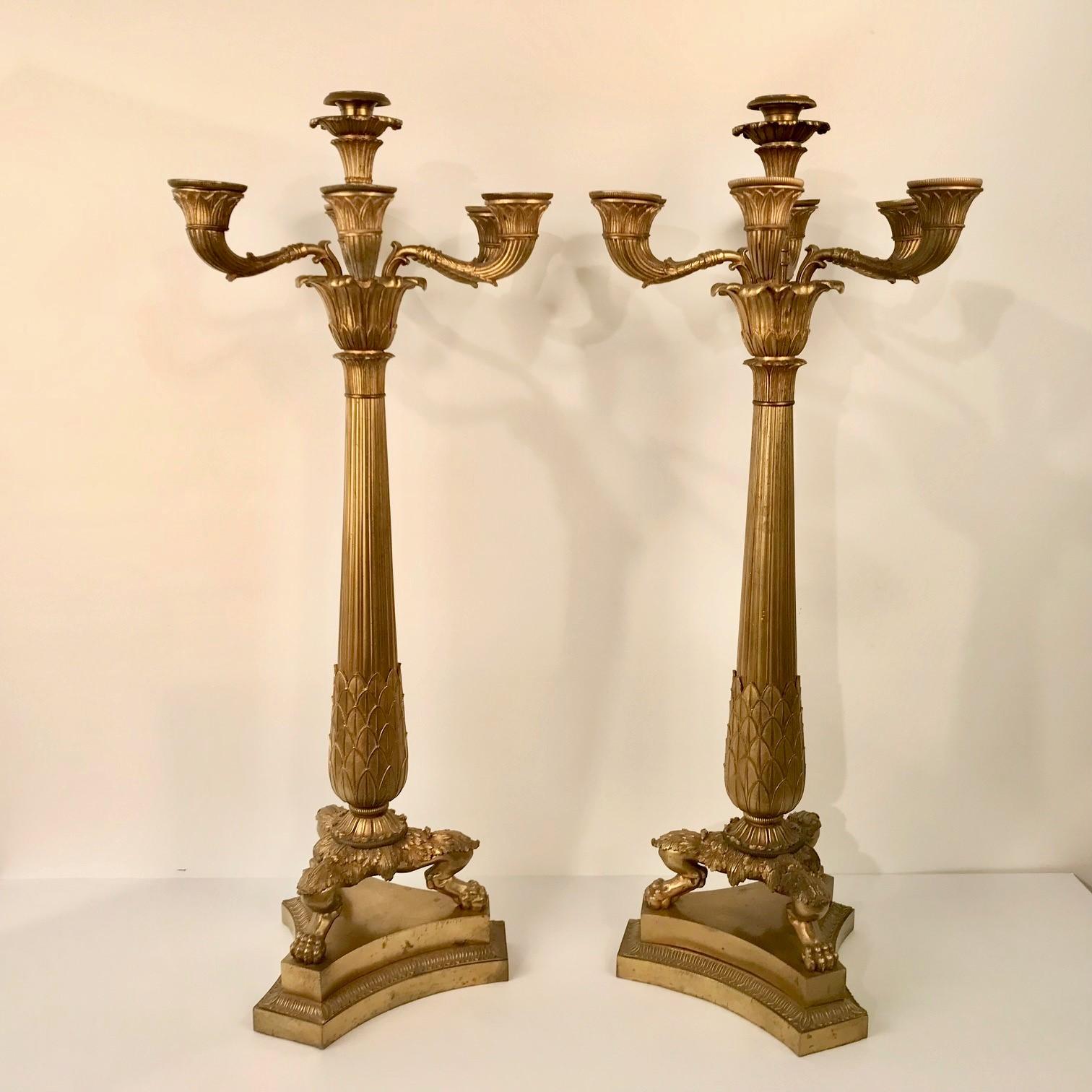 This noble pair are each raised on trefoil bases, supporting three stylised animal paw feet, the tapering cylindrical column is reeded with capital and base decorated with acanthus, a double motif continued by the five arms around a central