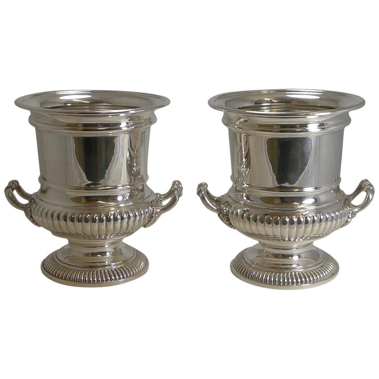 Large Pair of Antique English Silver Plated Wine / Champagne Coolers, circa 1910