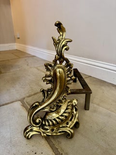Large pair of antique French brass rococo fire dogs