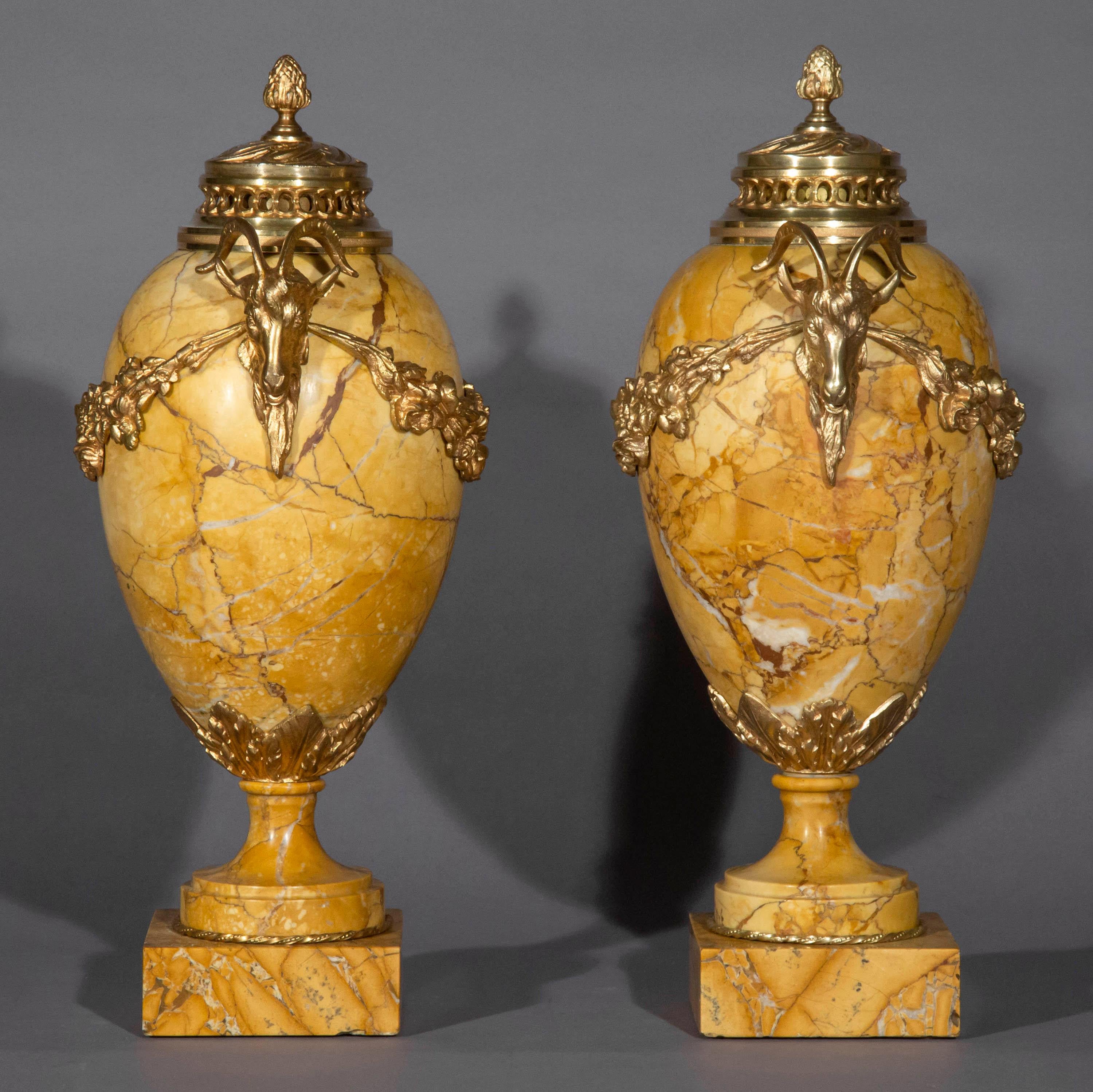 20ième siècle Paire d'urnes néoclassiques anciennes en marbre de Sienne avec montures en bronze doré en vente