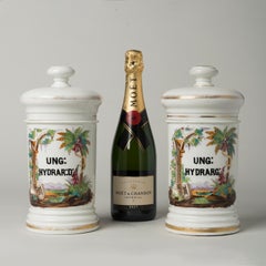 Large Pair of Antique 'Paris Porcelain' Apothecary Jars with Latin Inscriptions