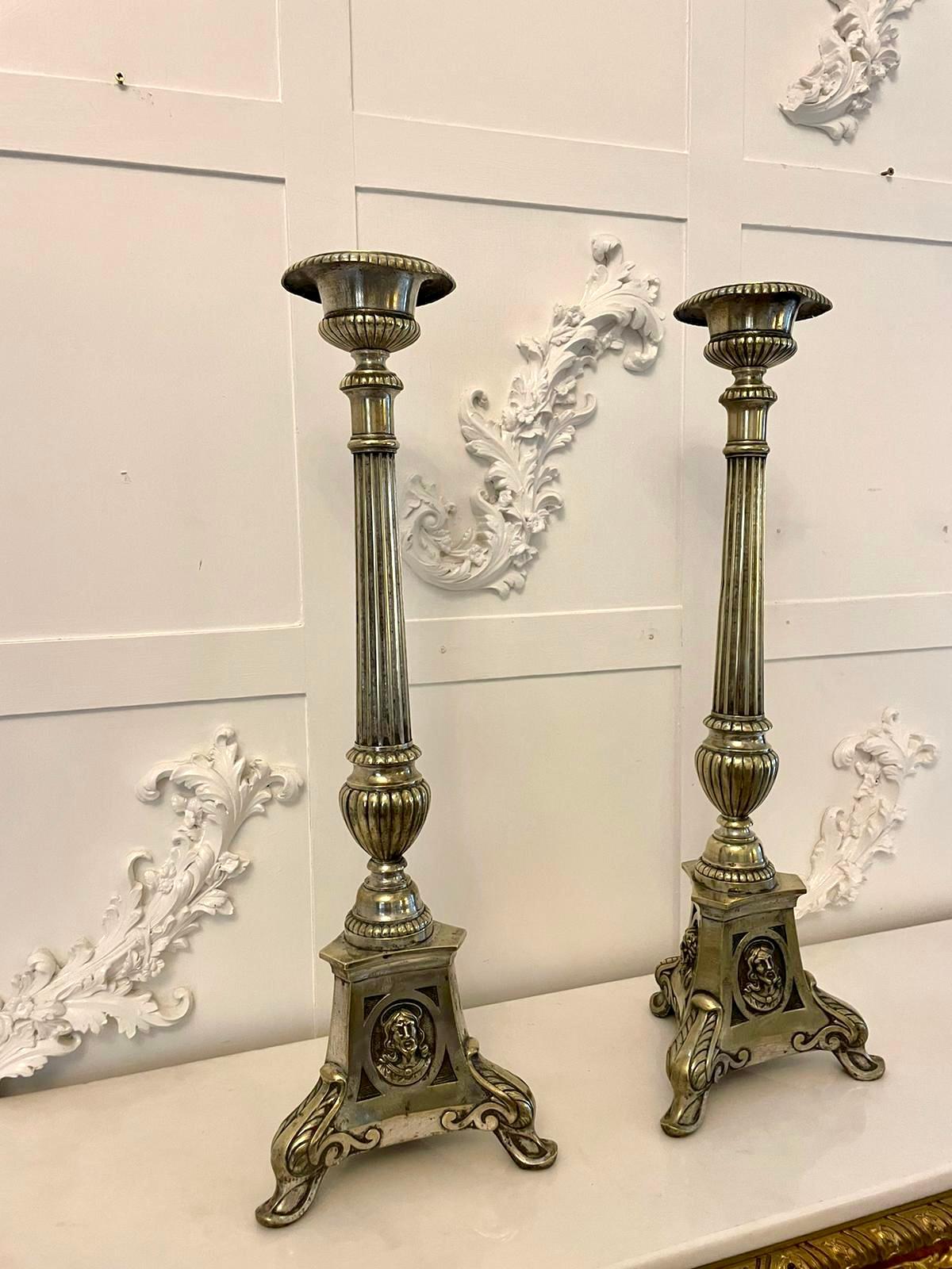 Large pair of antique Victorian quality brass candlesticks having circular tops above a reeded column supported by unusual shaped decorative bases raised on shaped feet 

A delightful decorative pair of desirable proportions

H 64.5 x W 21.5 x D