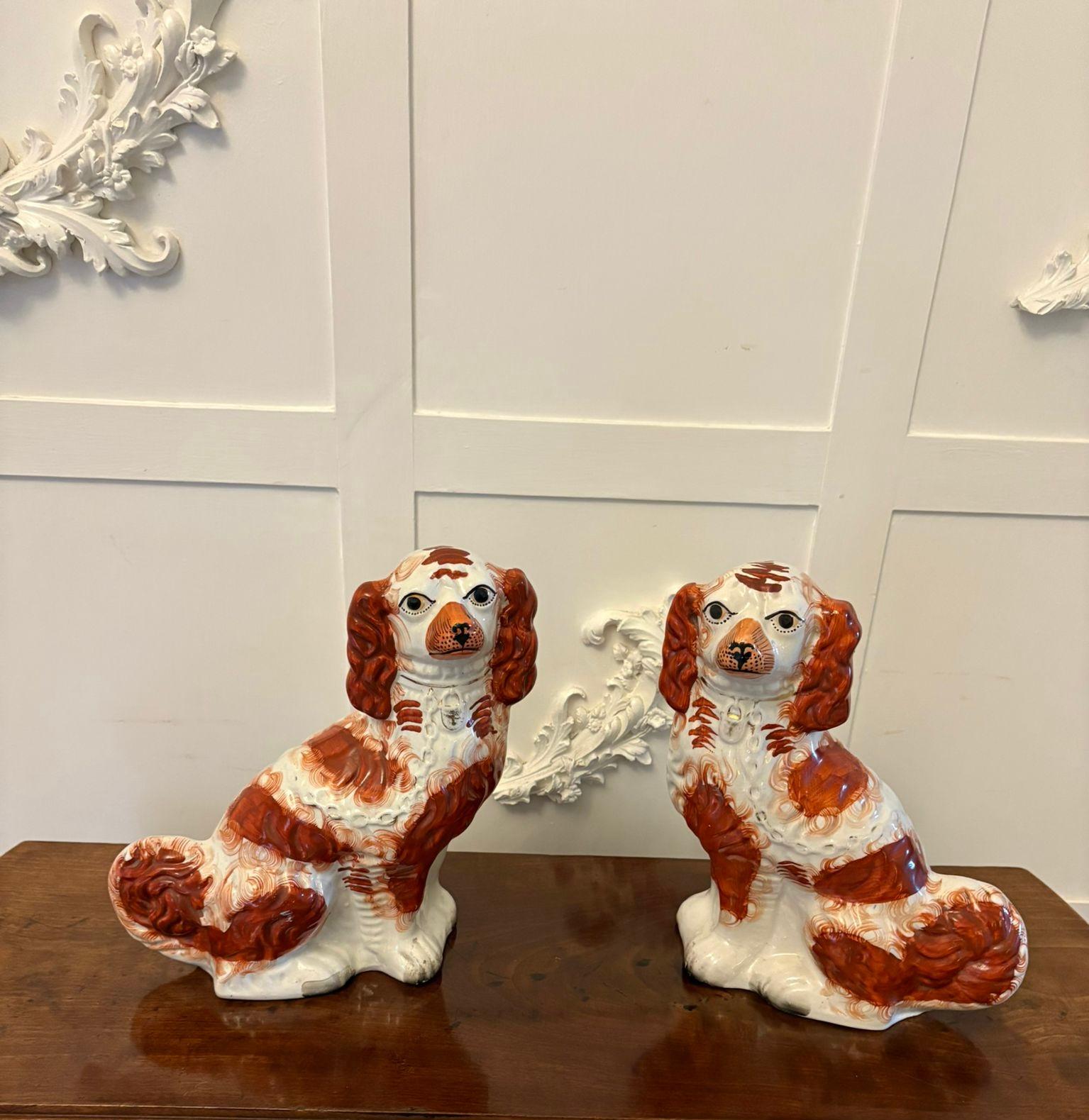 Large Pair of antique Victorian quality Staffordshire dogs having lovely red and white coloured coats with collars, padlocks and chains 

In lovely original condition, no cracks or chips

Dimensions:
Height 30 cm (11.81 in)
Width 25 cm (9.84